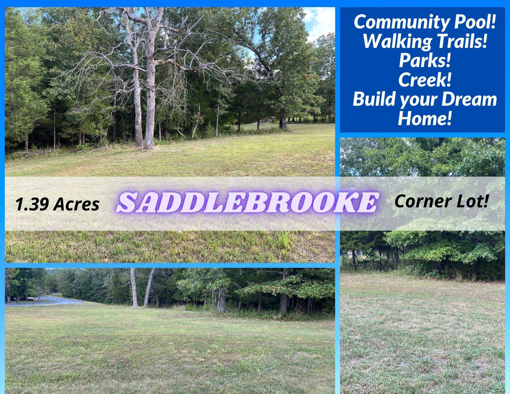 Saddlebrooke, MO 65630,295 Kramer LN