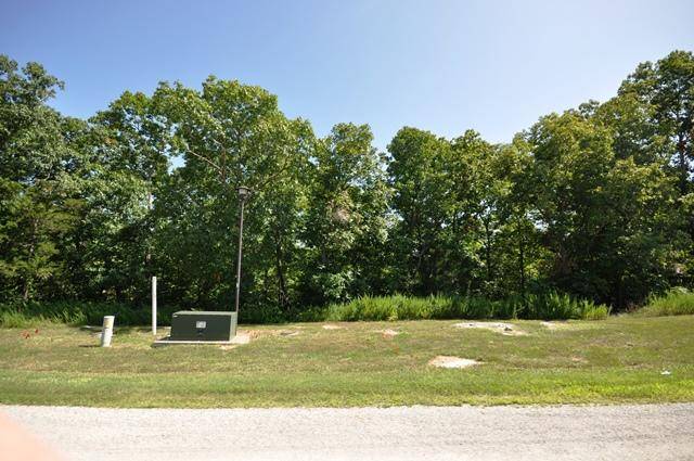 Branson, MO 65616,295 North Point CT