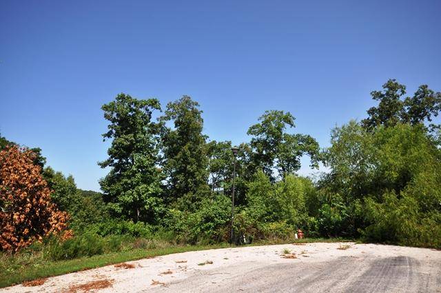 Branson, MO 65616,1829 Emory Creek BLVD