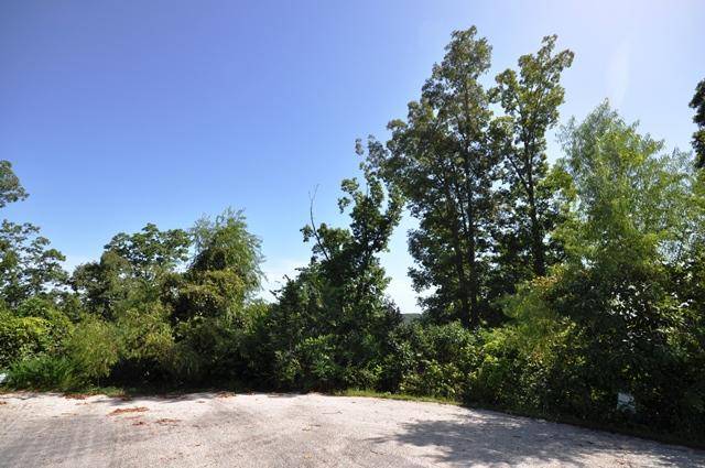Branson, MO 65616,Lt 266 Highpoints Ridge