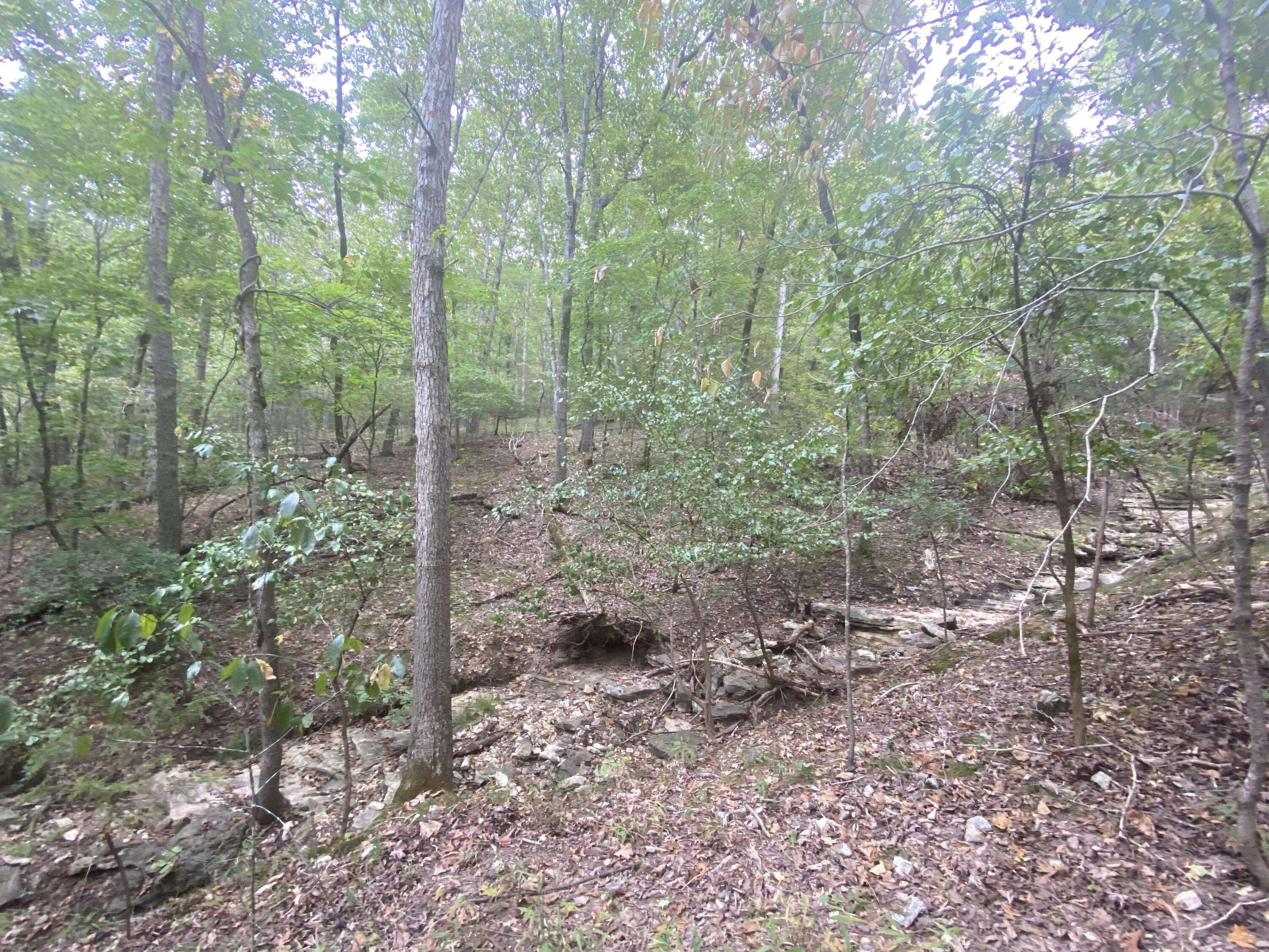 Branson West, MO 65737,Lot 12 Blue Water LN