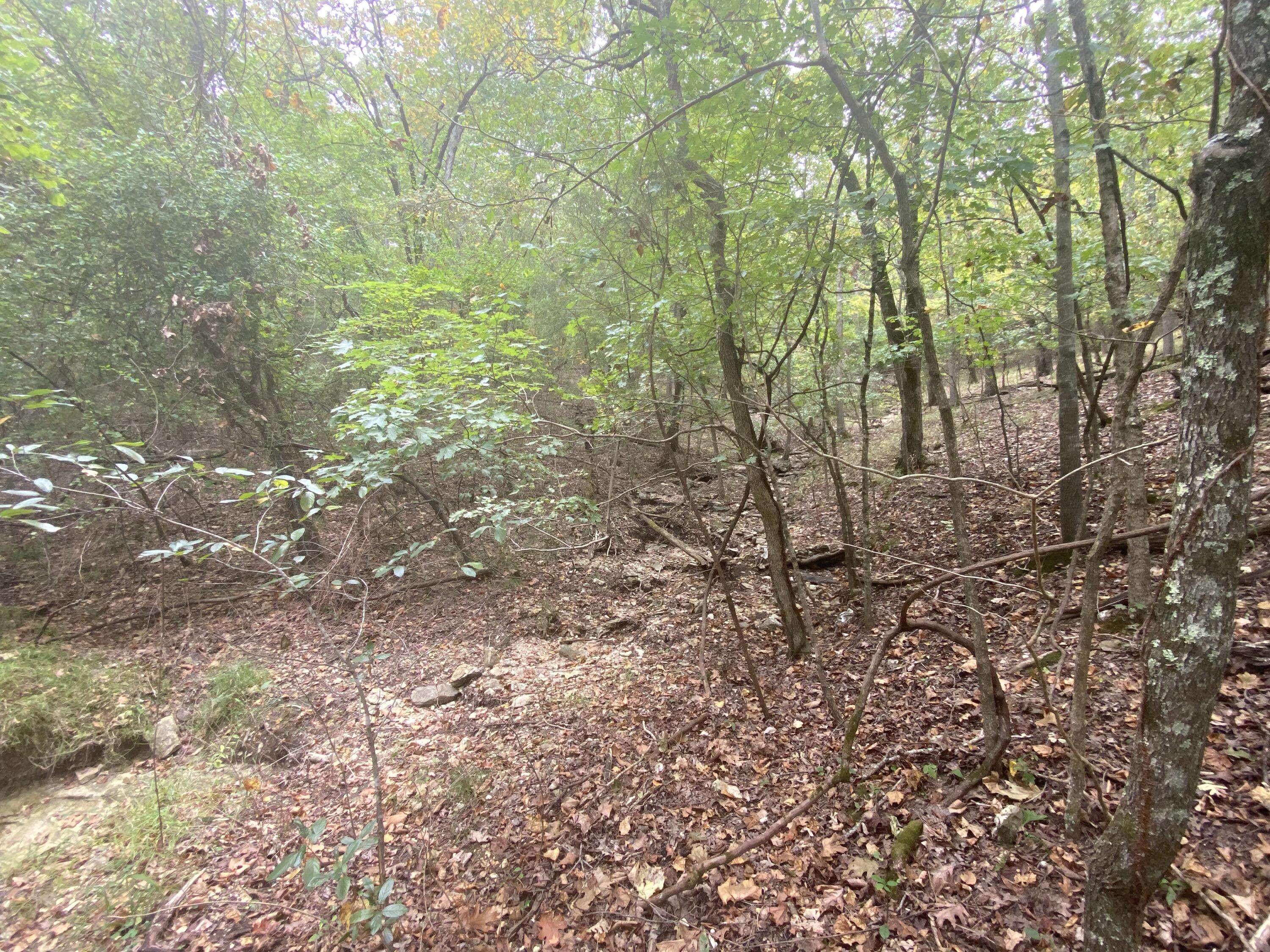 Branson West, MO 65737,Lot 12 Blue Water LN