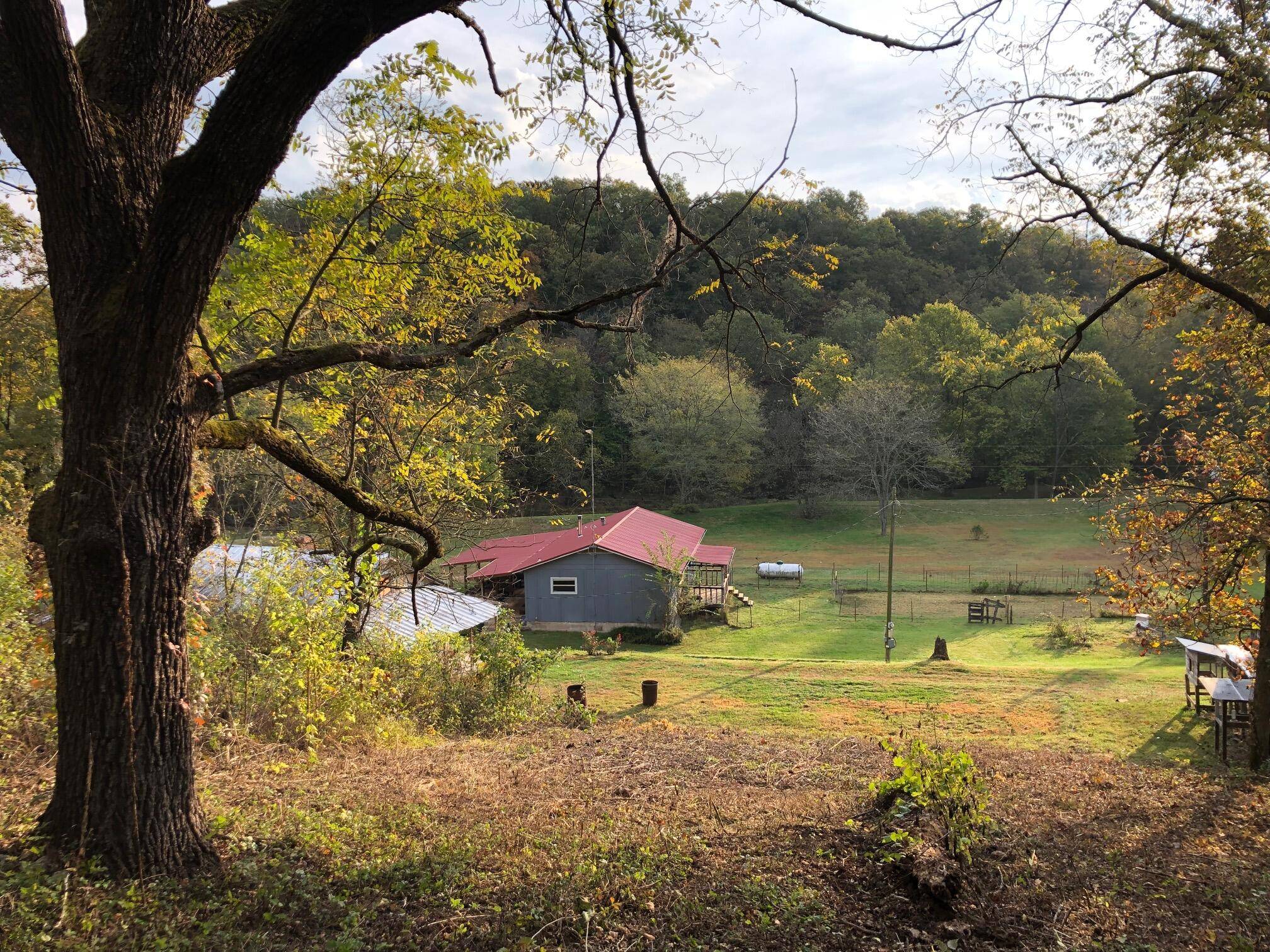 Green Forest, AR 72638,4219 Cr 614