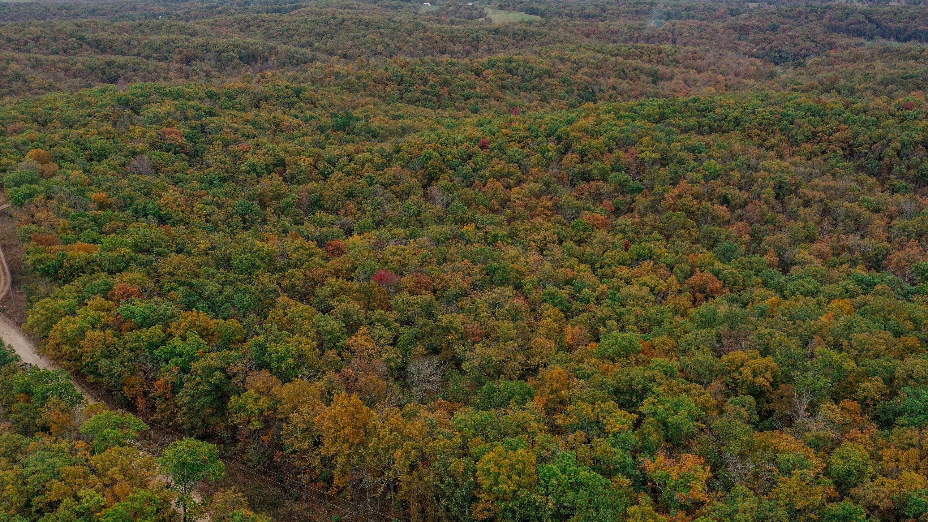 Willow Springs, MO 65793,Tbd Shelton Rd.