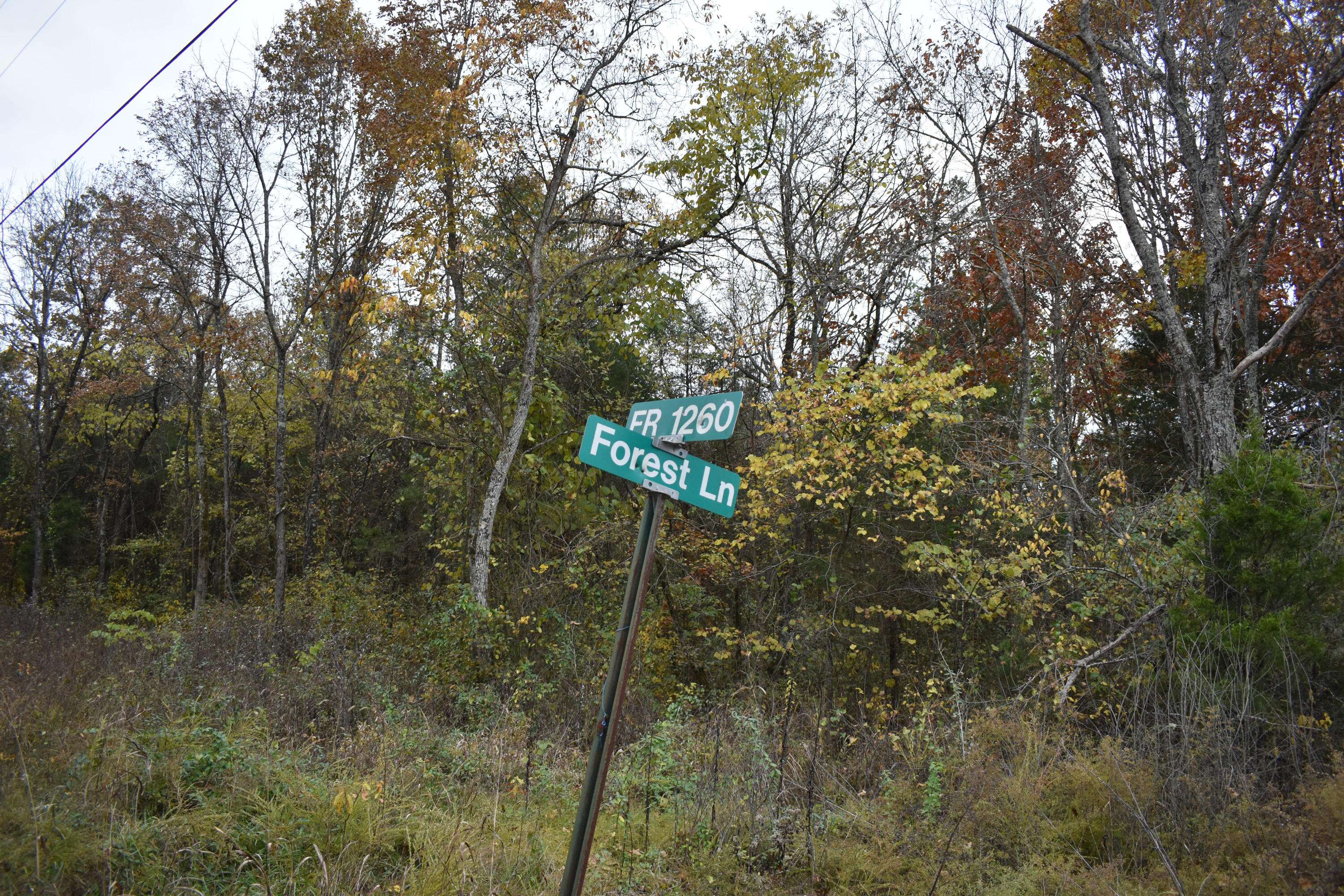 Shell Knob, MO 65747,Lot 36 Forest Lane