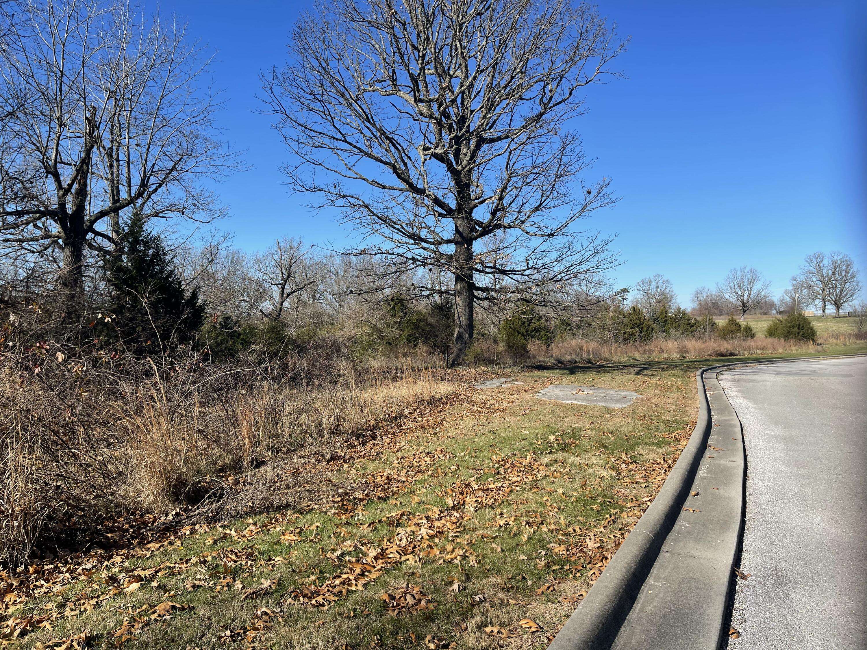 Strafford, MO 65757,1 Paradise RD