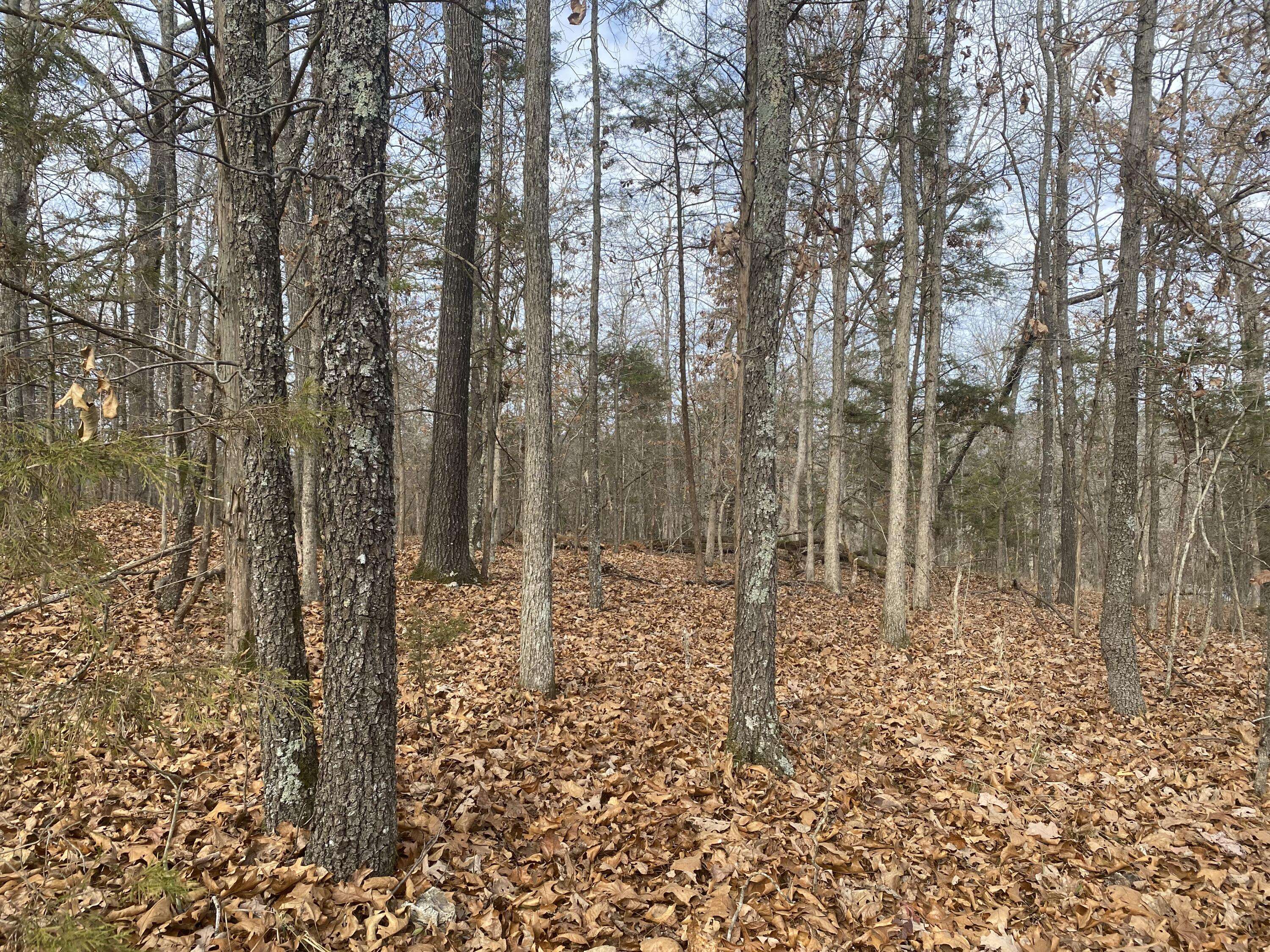 Rockaway Beach, MO 65740,Lot 50 Wildwood