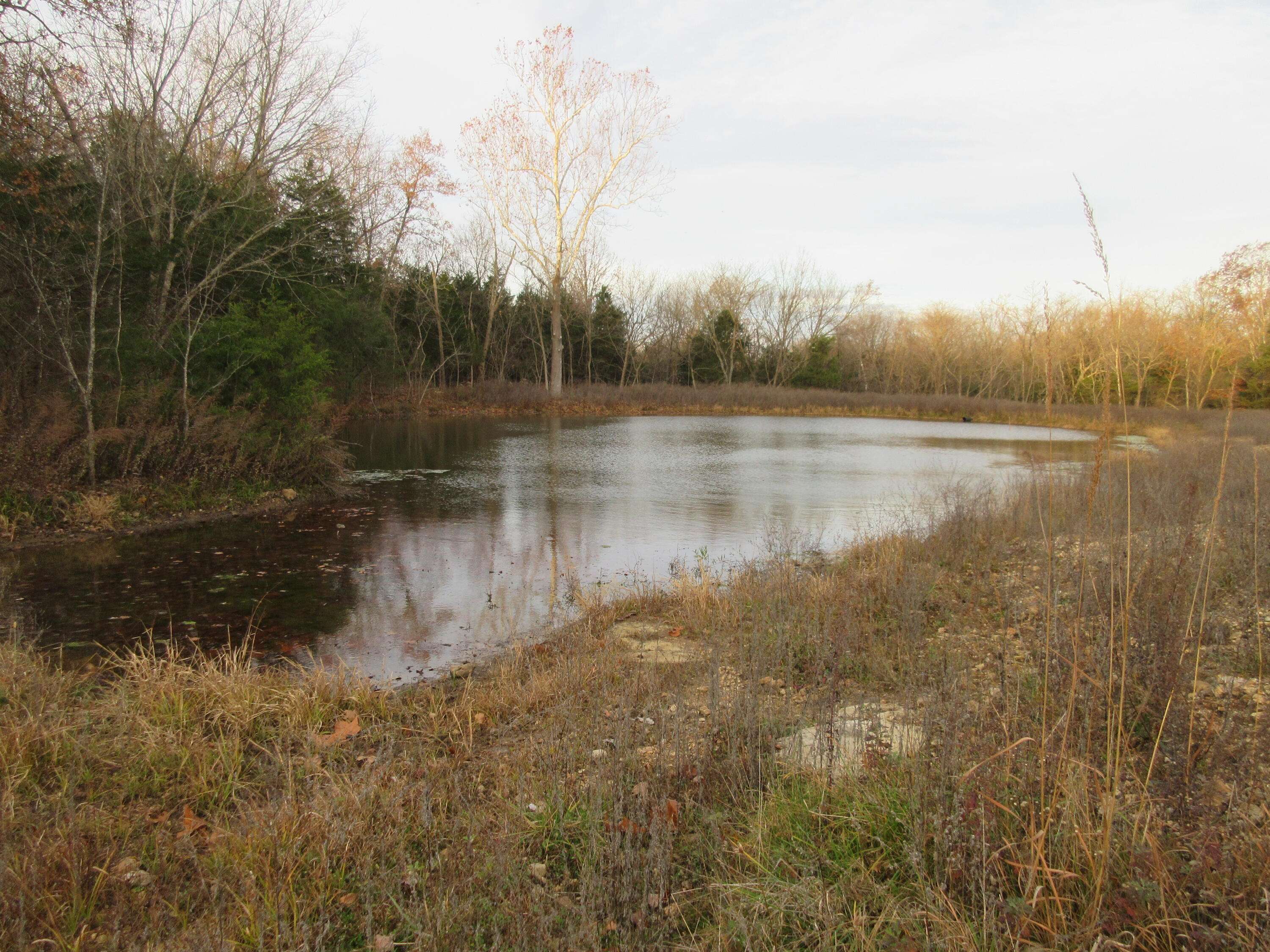 Long Lane, MO 65590,91 State Road Jj