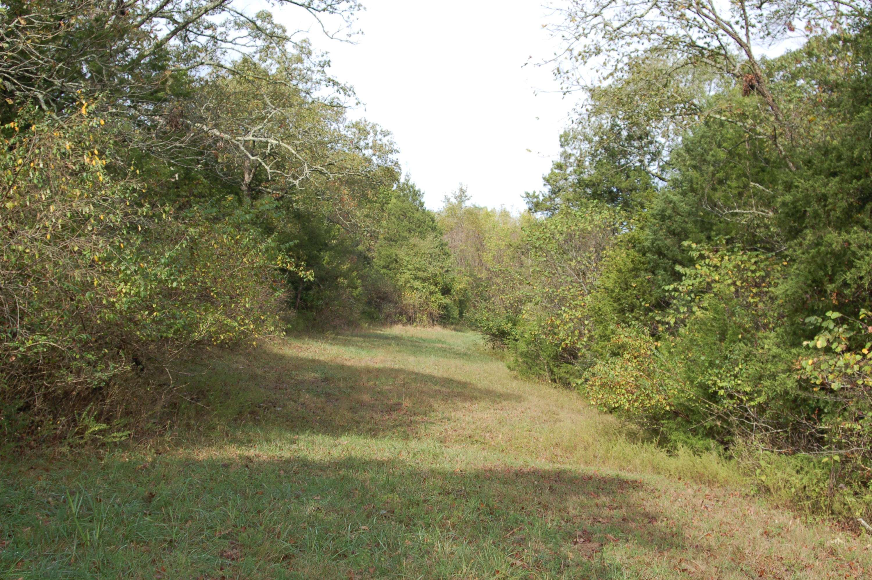 Forsyth, MO 65653,275 Tower (Lot 3) RD