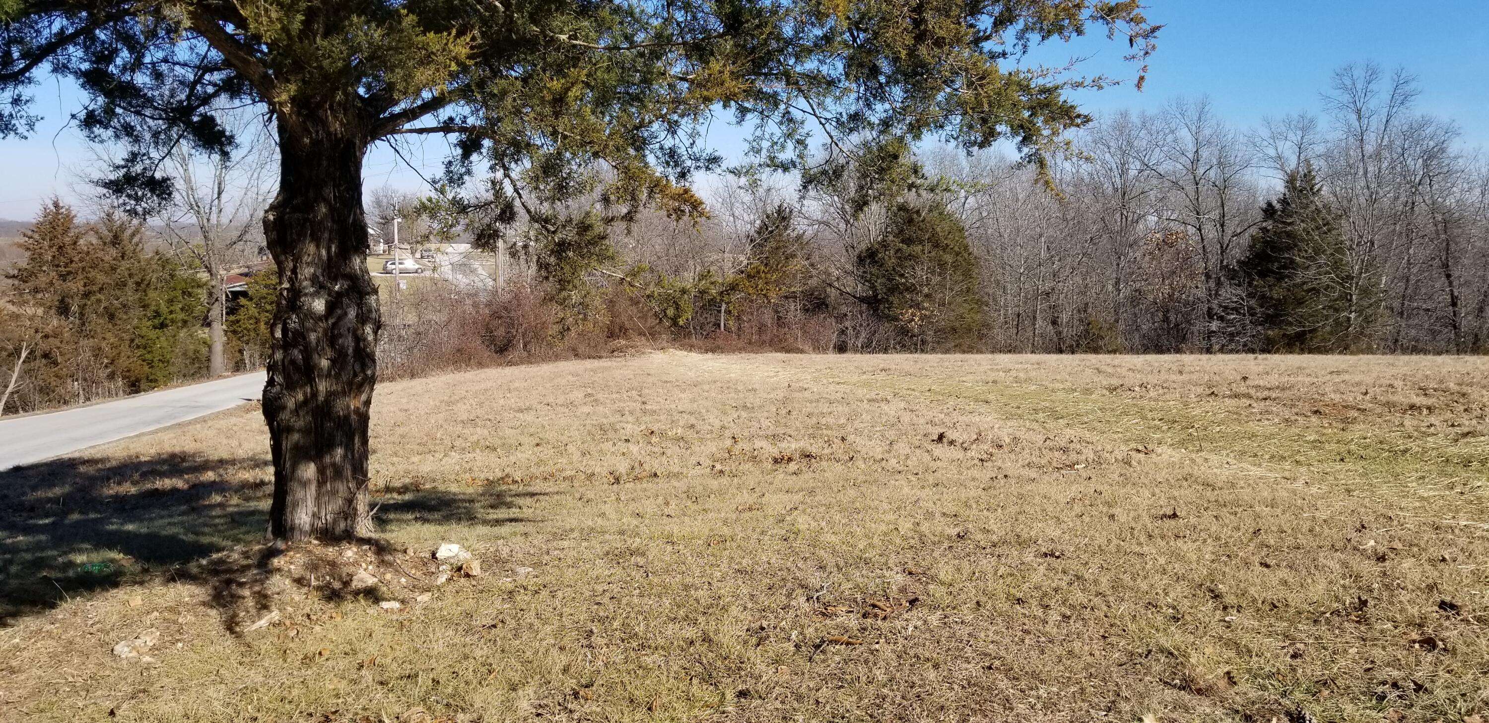 Branson West, MO 65737,Lot 1 Catamount Ridge N