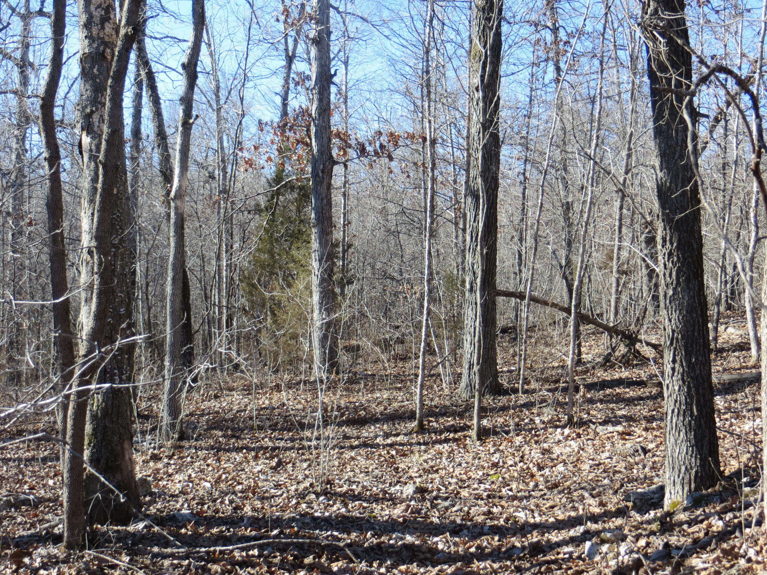 Myrtle, MO 65778,000 County Road 259