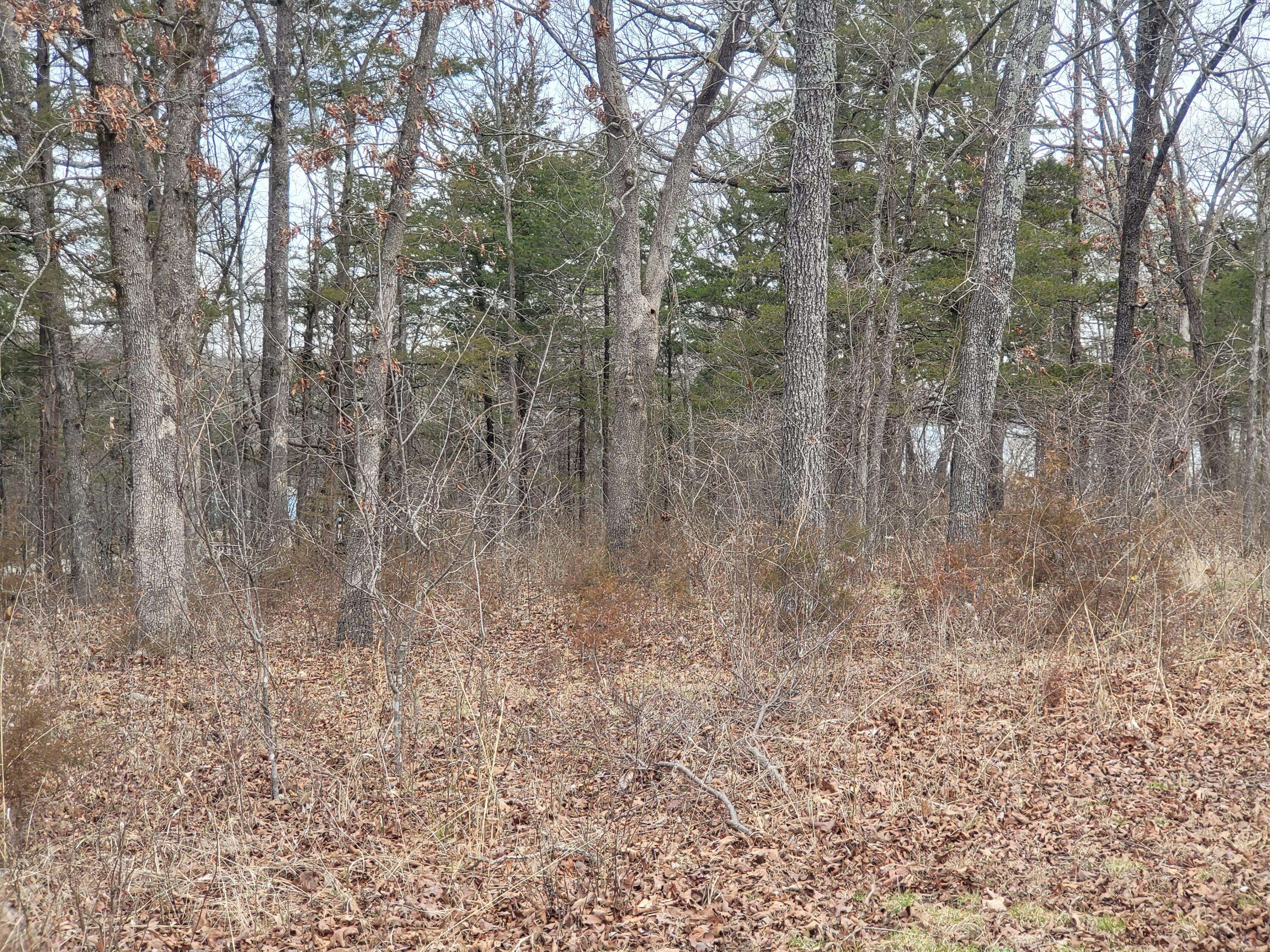 Shell Knob, MO 65747,Lot 33 Eagles Point