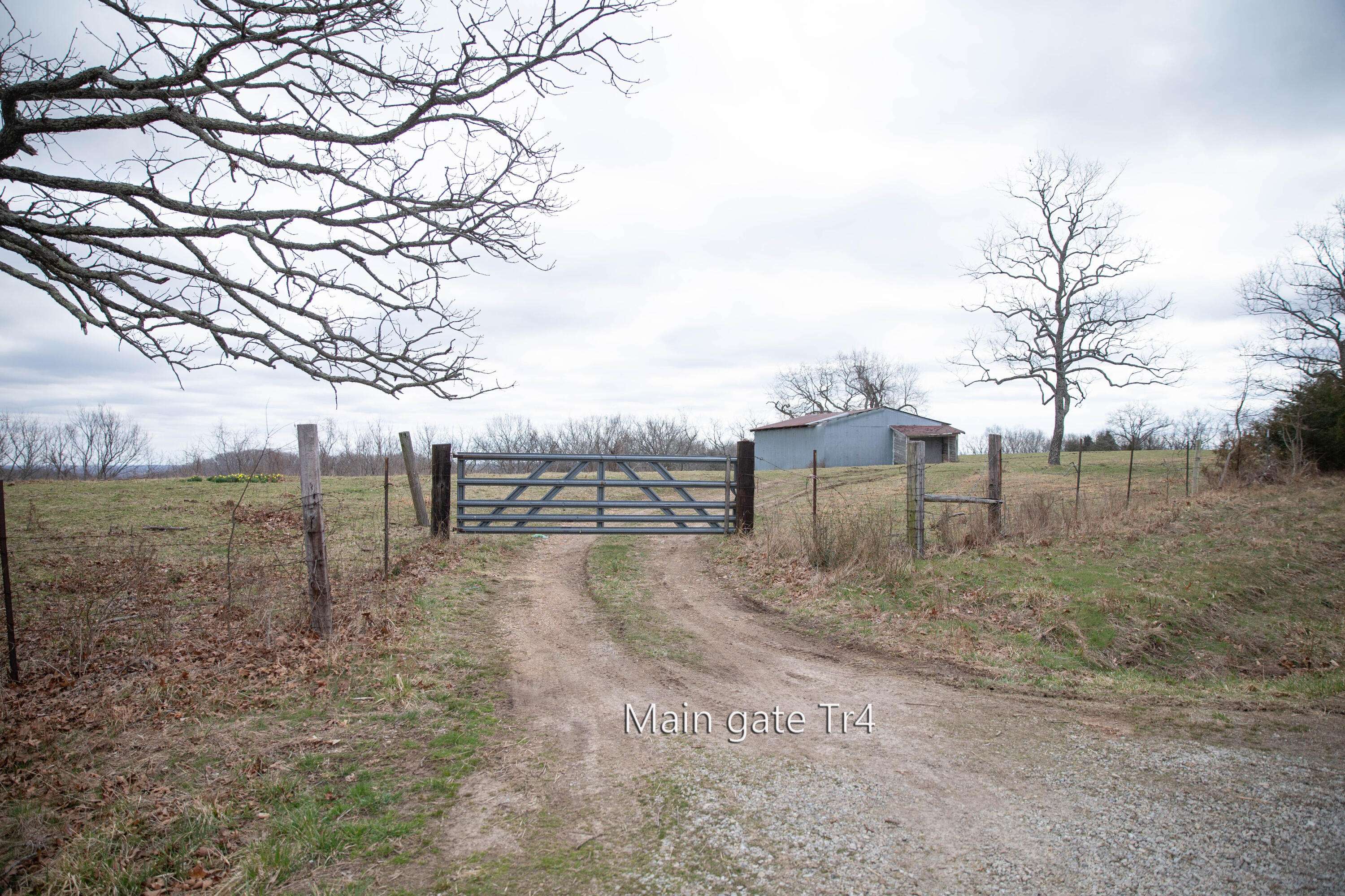 Chadwick, MO 65629,Tract 4 Highway Uu