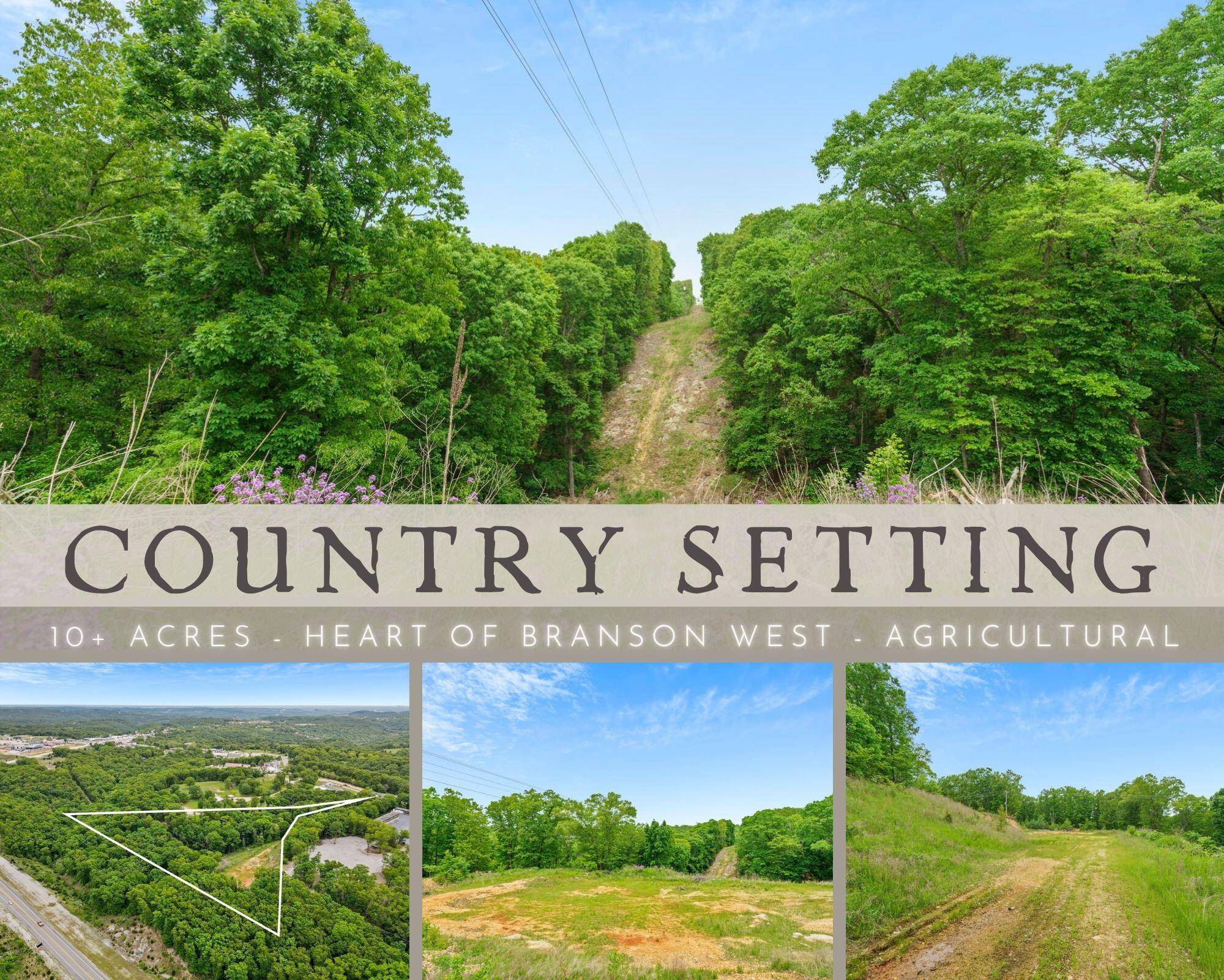 Branson West, MO 65737,Tbd Crevis RD