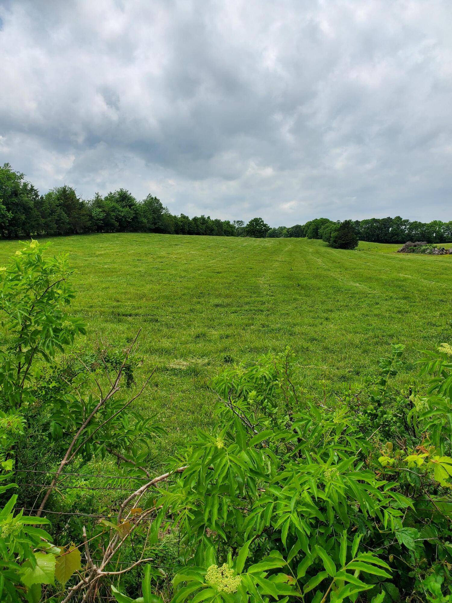 Rogersville, MO 65742,000 S Farm Rd 227