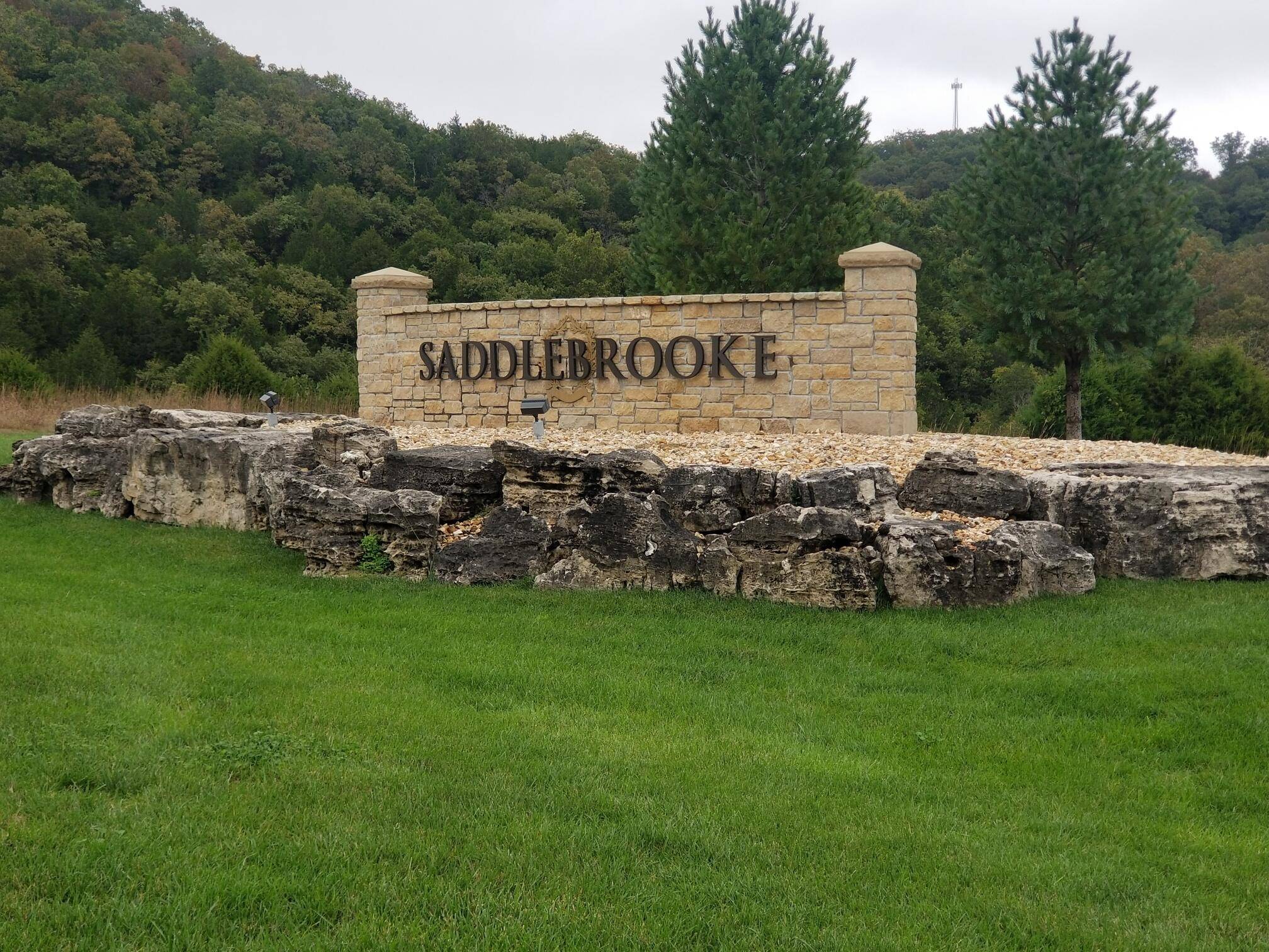 Saddlebrooke, MO 65630,Lot 91 Forest Heights DR