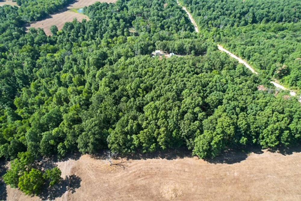 Niangua, MO 65713,000 Cantrell Creek Estates