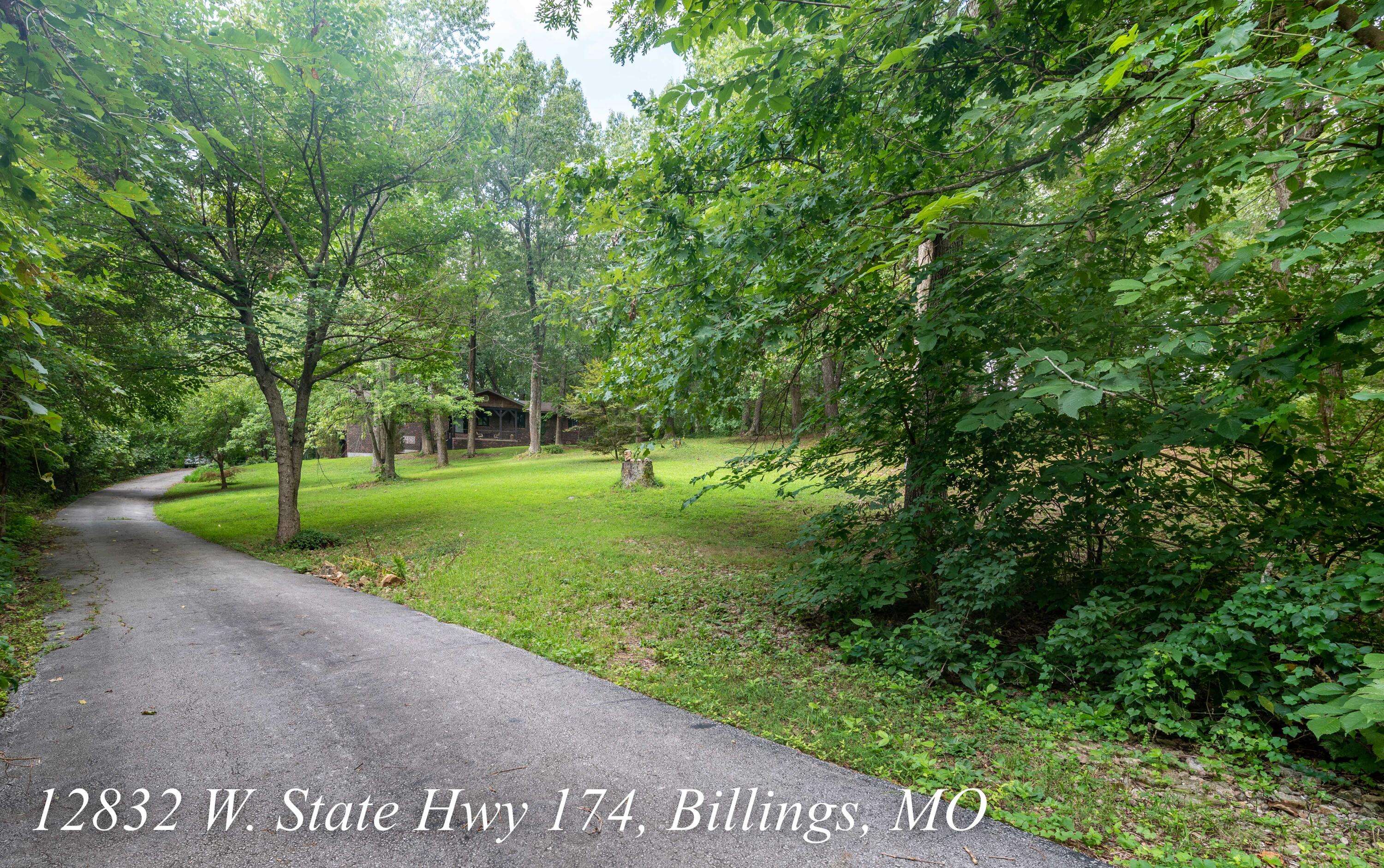 Billings, MO 65610,12832 W State Highway 174