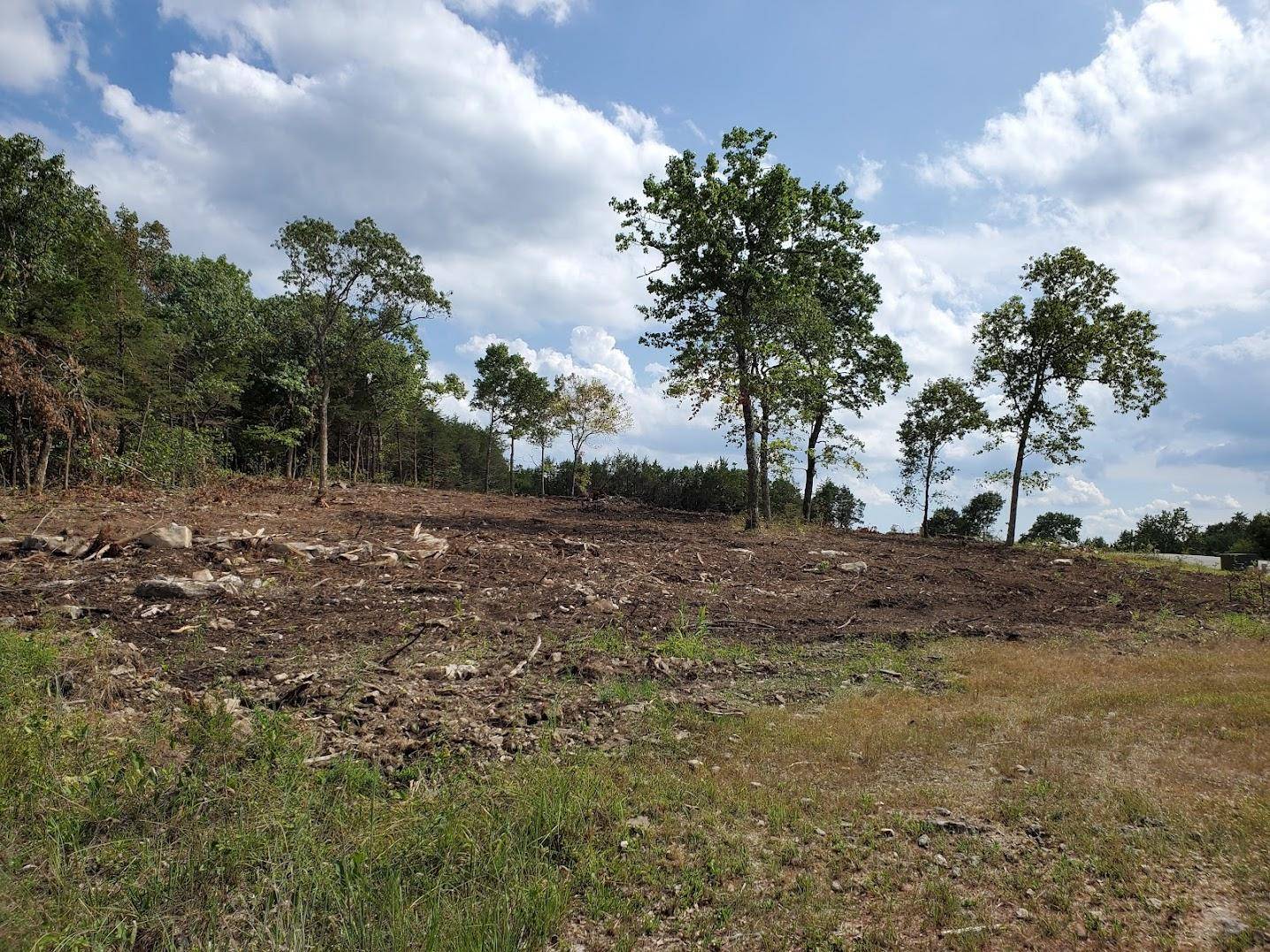 Kimberling City, MO 65686,Lot 261 Silver Sunset Lane