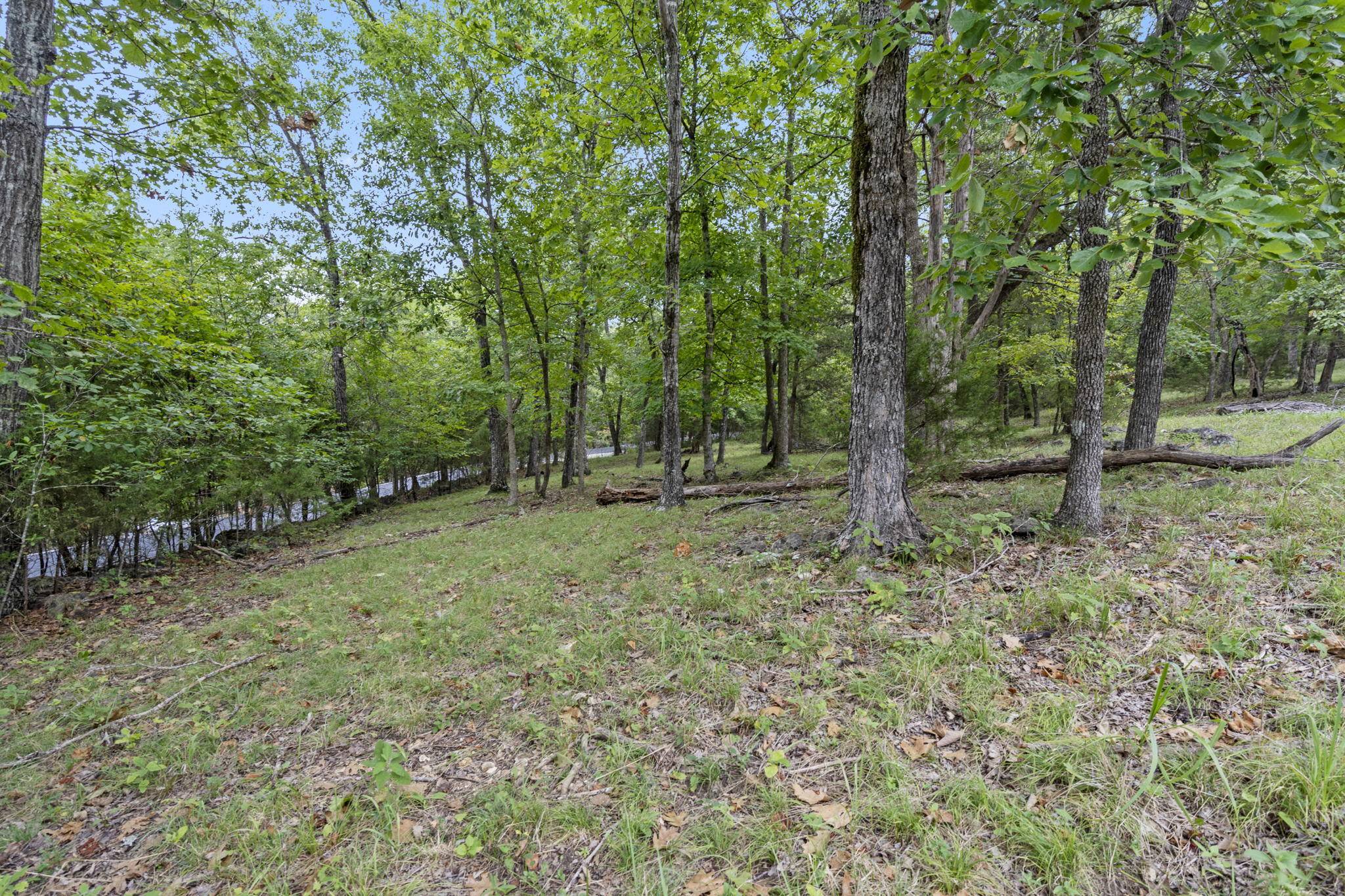 Kimberling City, MO 65686,Lots 27&28 Wildflower RD