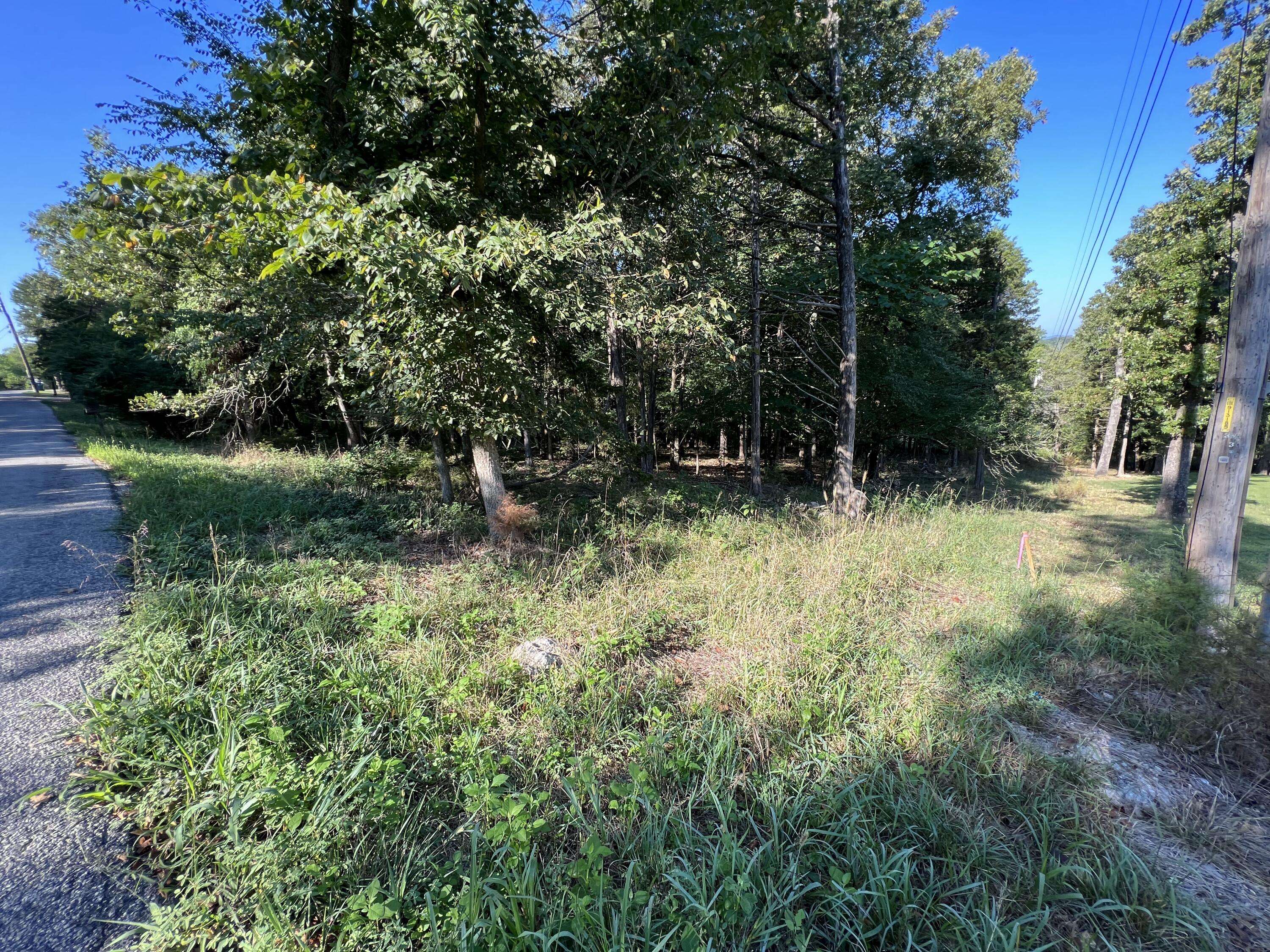 Branson, MO 65616,000 Cougar Trails