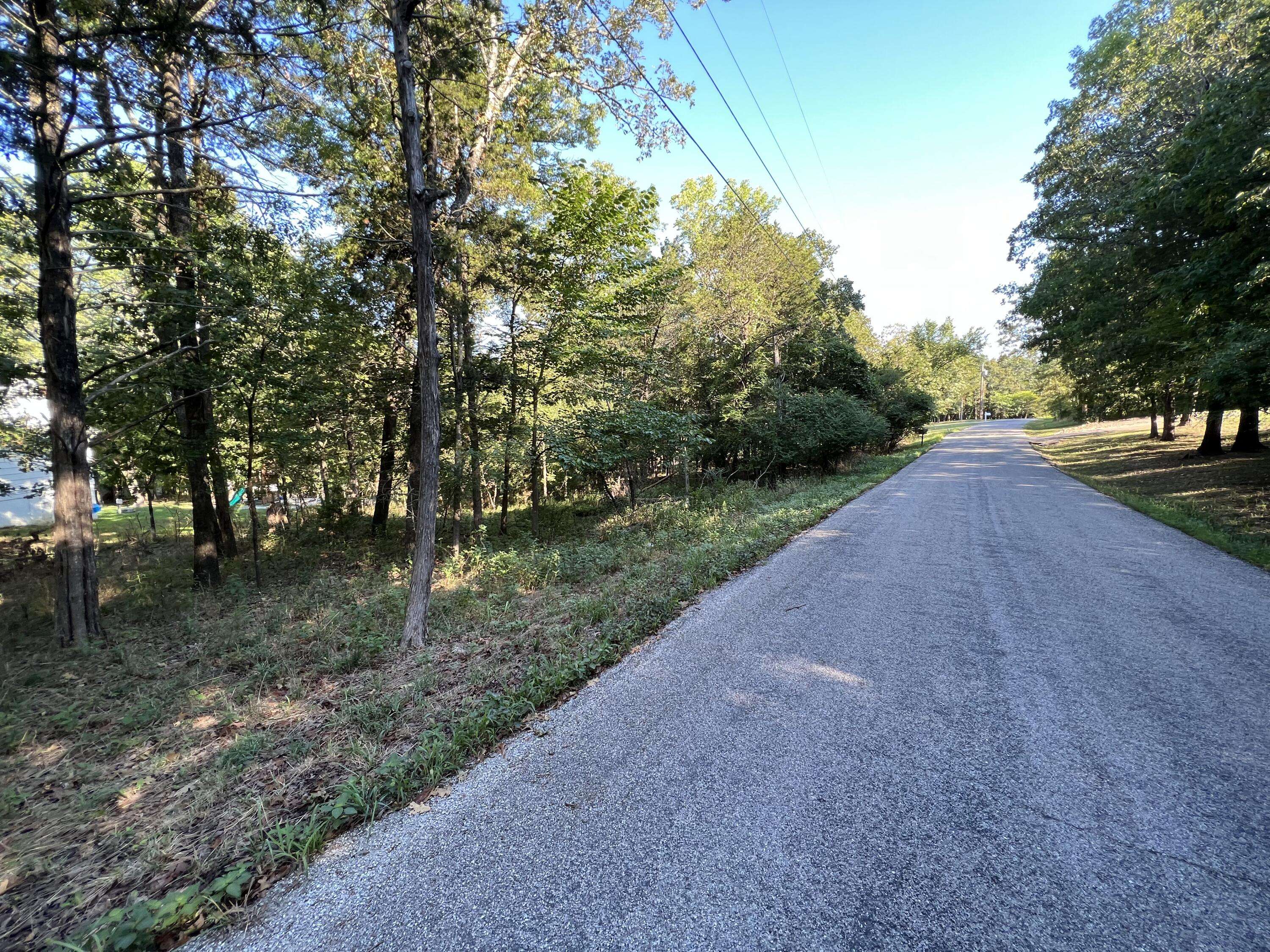 Branson, MO 65616,000 Cougar Trails