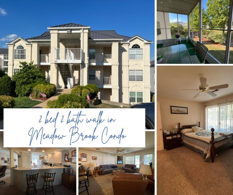 Branson, MO 65616,195 Meadow Brook LN #3