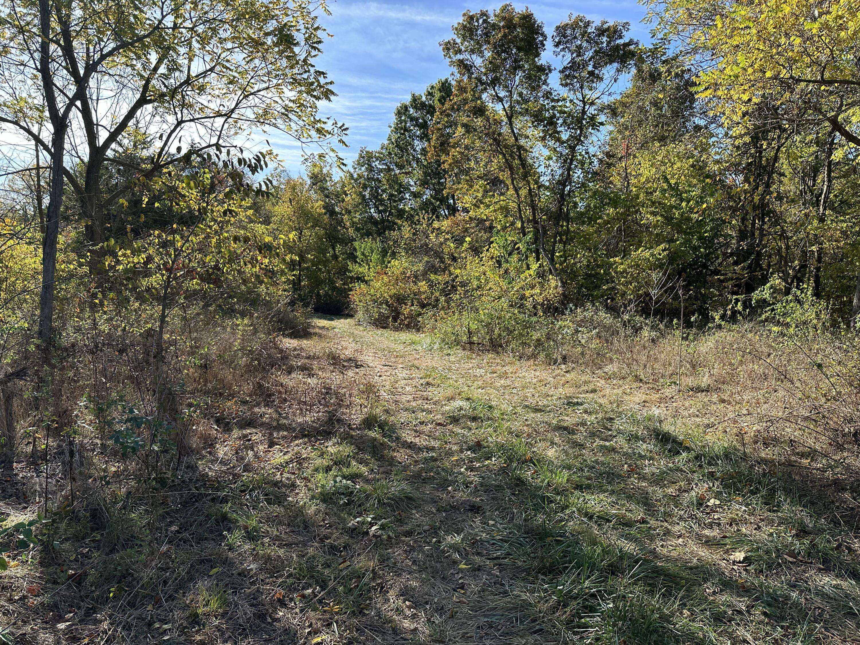 Marshfield, MO 65706,000 E State Highway 38