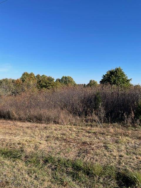 Ash Grove, MO 65604,Lot 1 Stonegate Subdivision