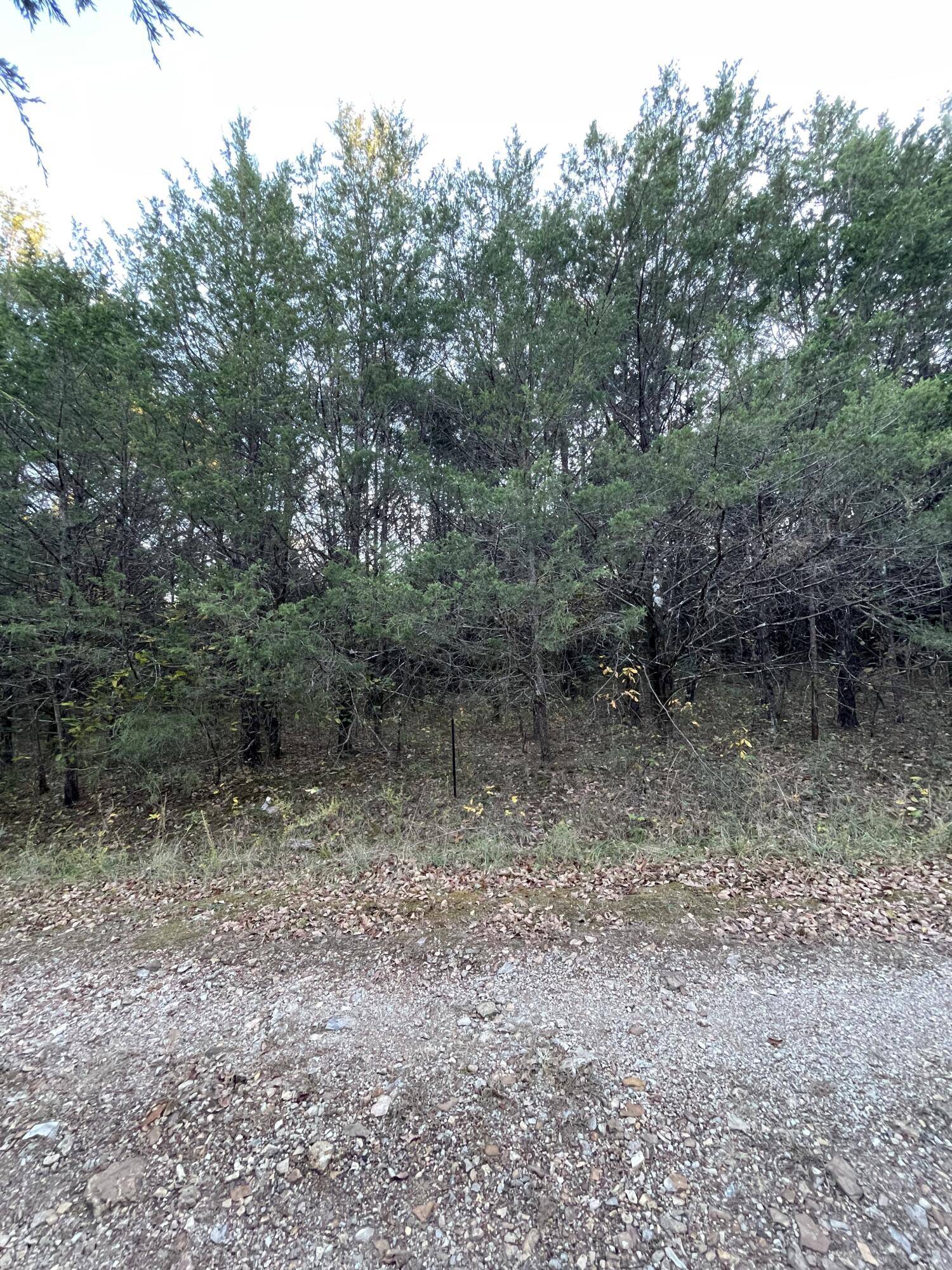 Shell Knob, MO 65747,Lot 37 Big Creek #2