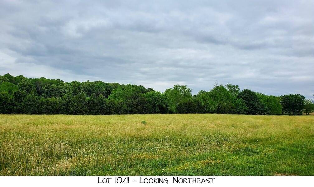 Brighton, MO 65617,Lot 11 Pleasant View Rd