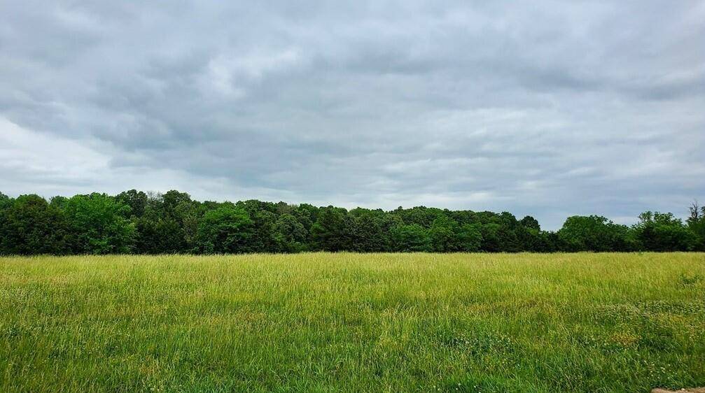 Brighton, MO 65617,Lot 11 Pleasant View Rd