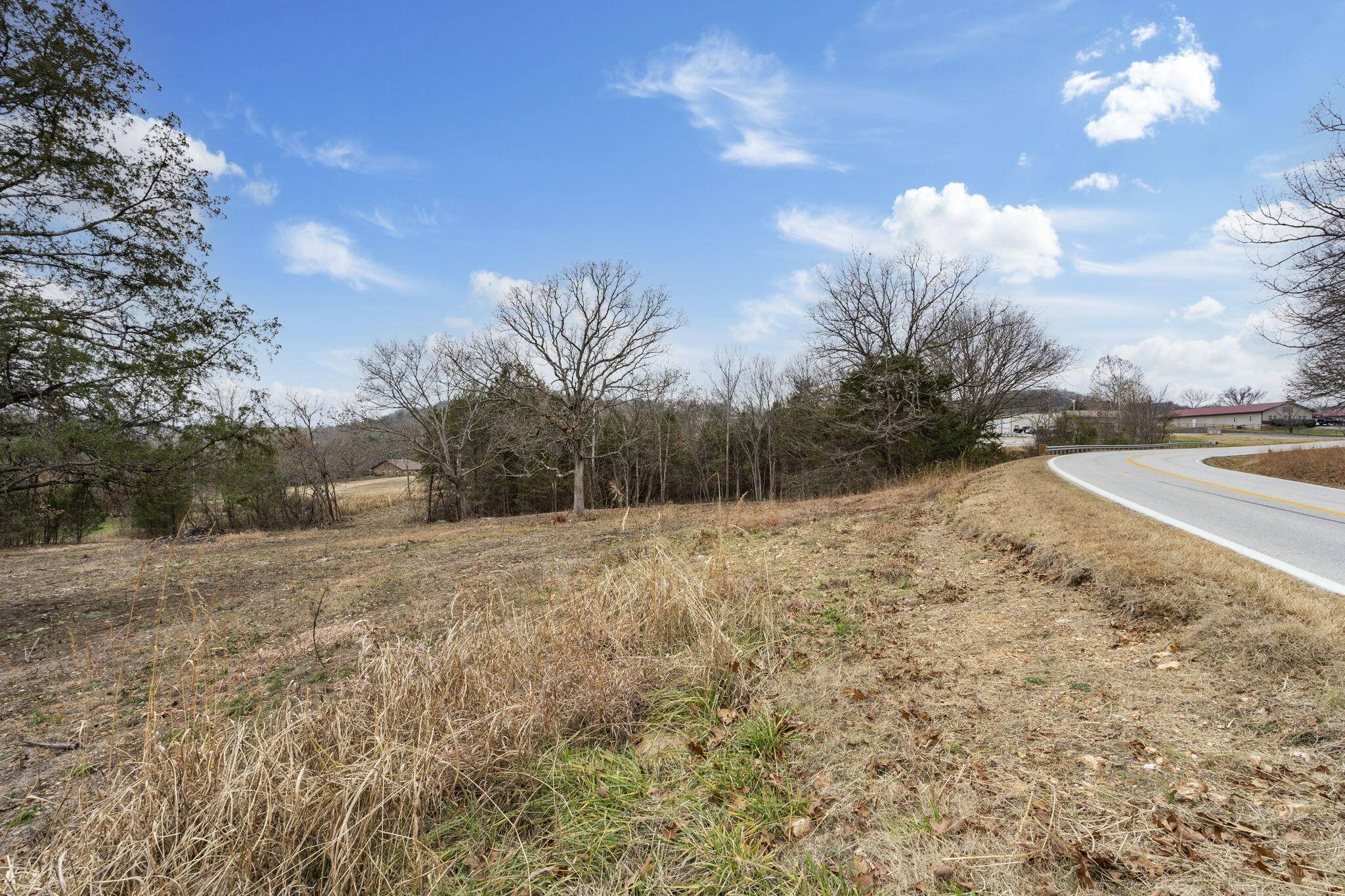 Cape Fair, MO 65624,1 Acre Pinto LN