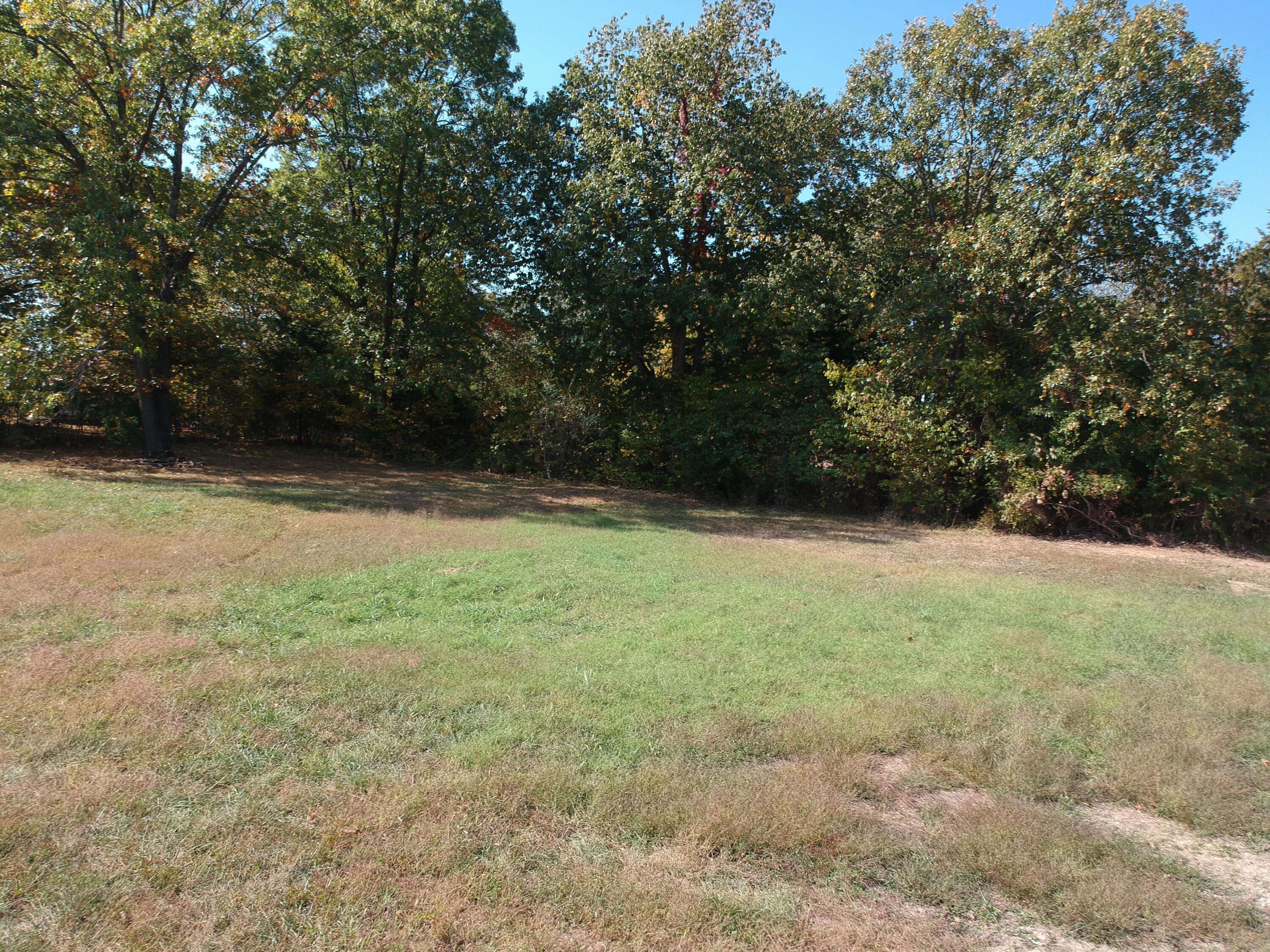 Branson, MO 65616,218 Harmony LN