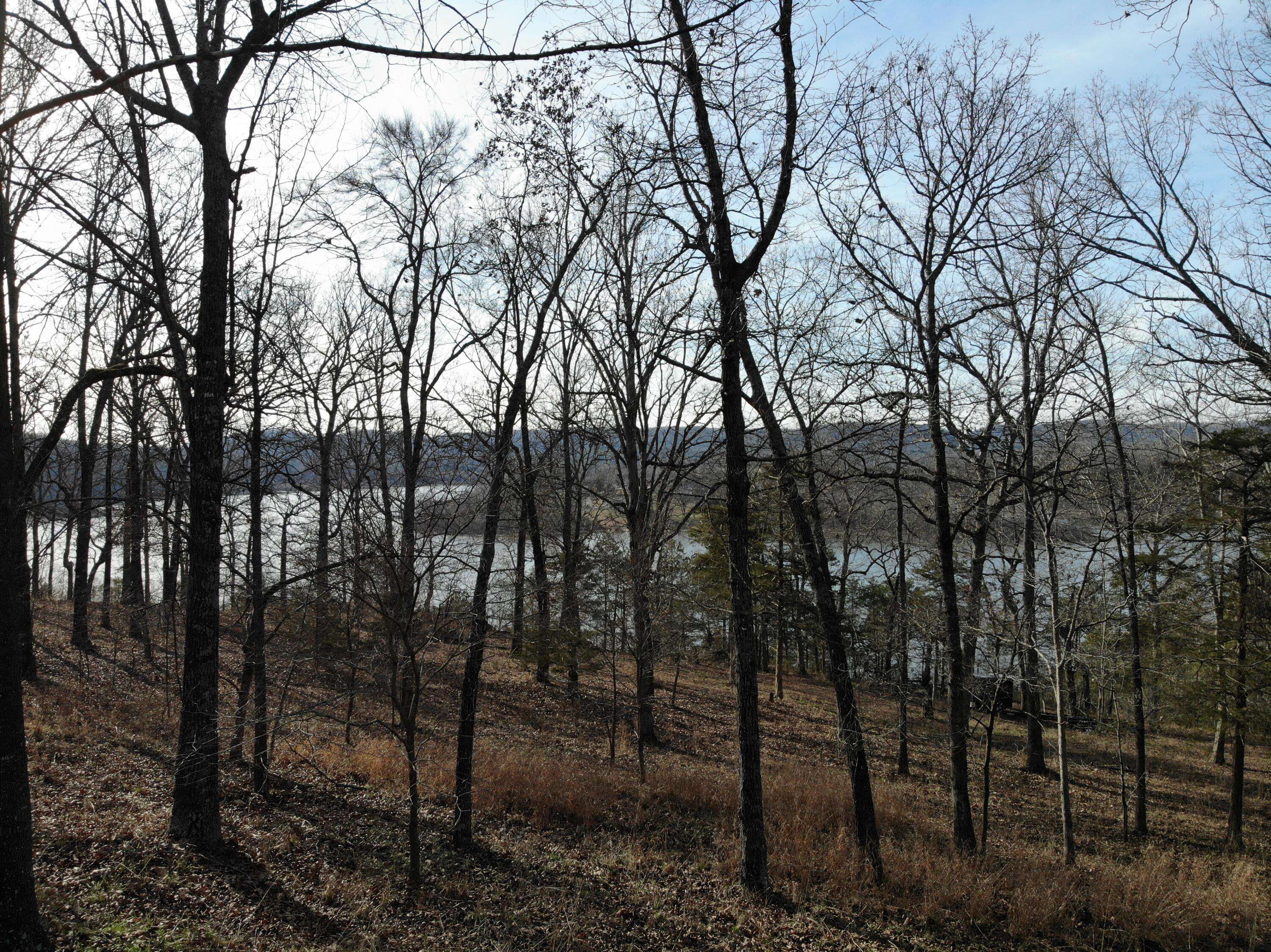 Eagle Rock, MO 65641,Lot 9 Private Road 1190