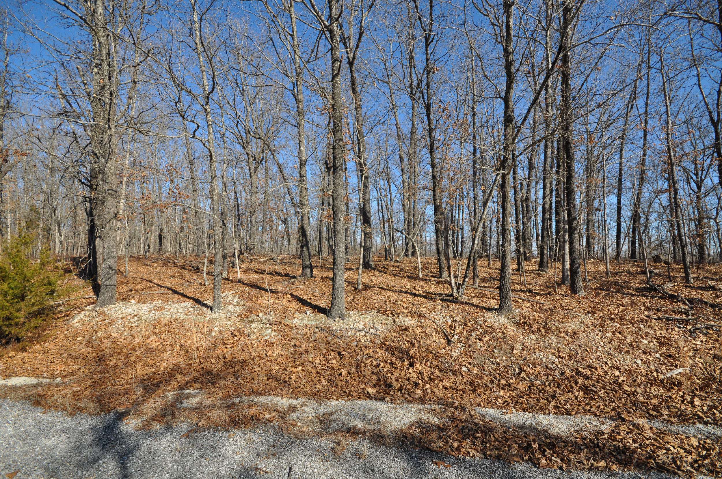 Ozark, MO 65721,Lot 28 Palomino DR