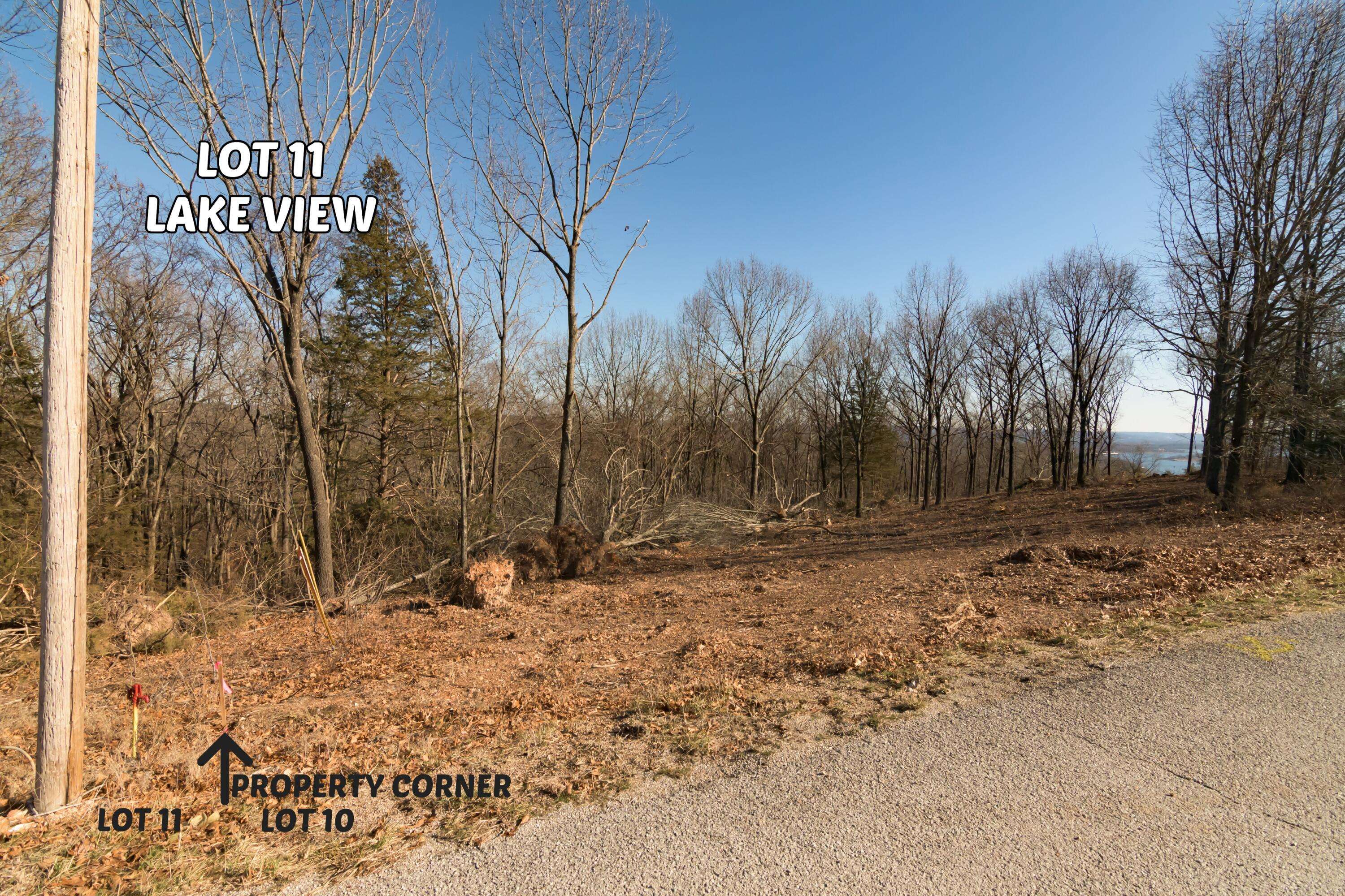 Branson West, MO 65737,Lot 11 By Pass LOOP