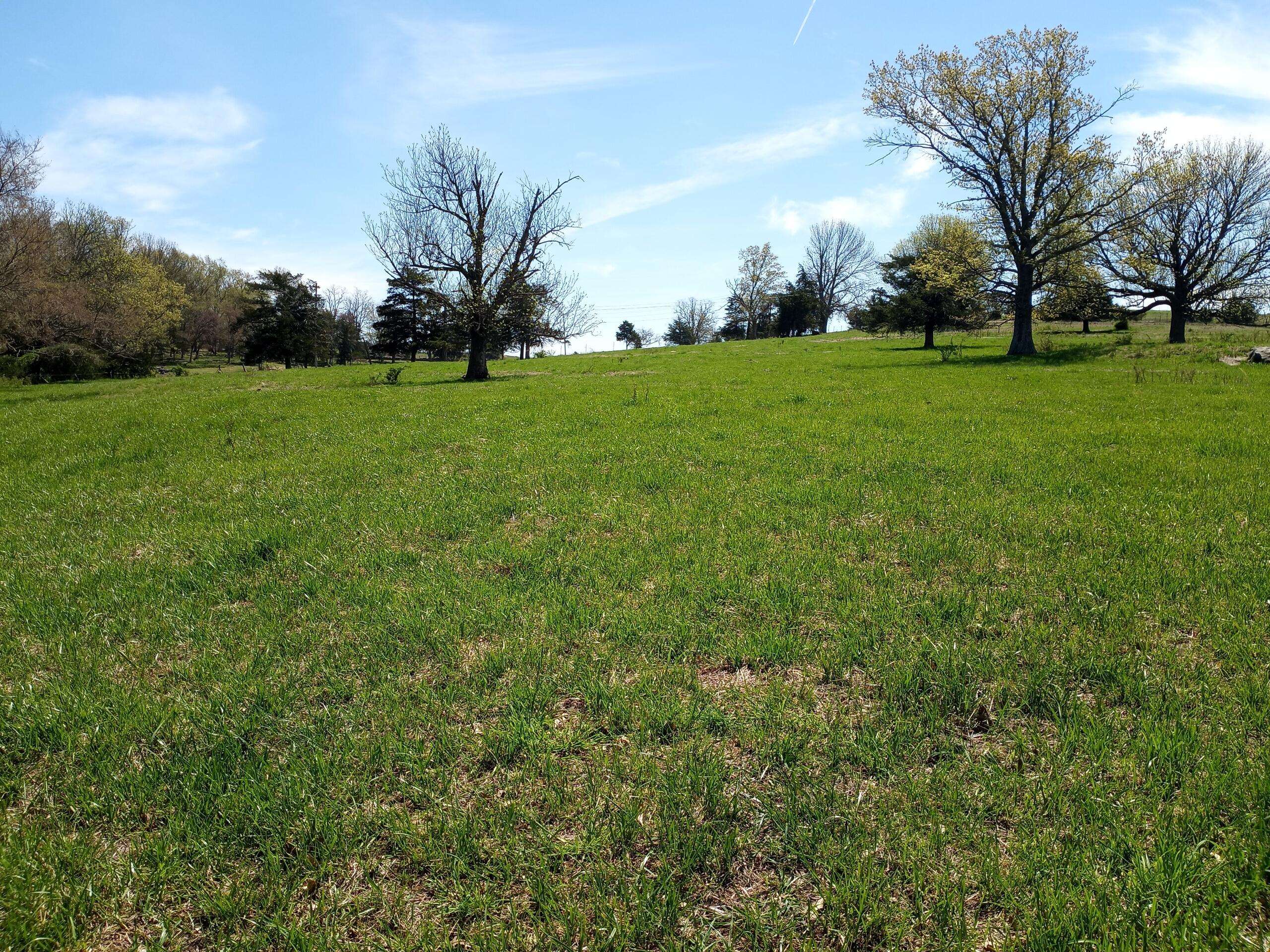 Seligman, MO 65745,000 Farm Road 2265