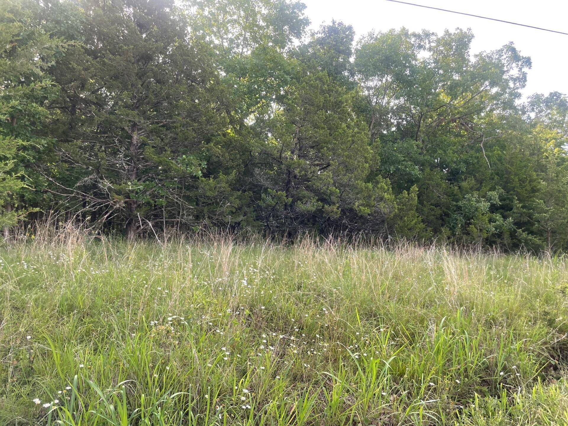 Branson West, MO 65737,Lot 1 Heather Row