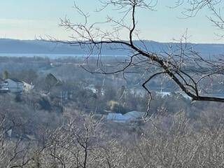 Branson West, MO 65737,Lot 1 Heather Row