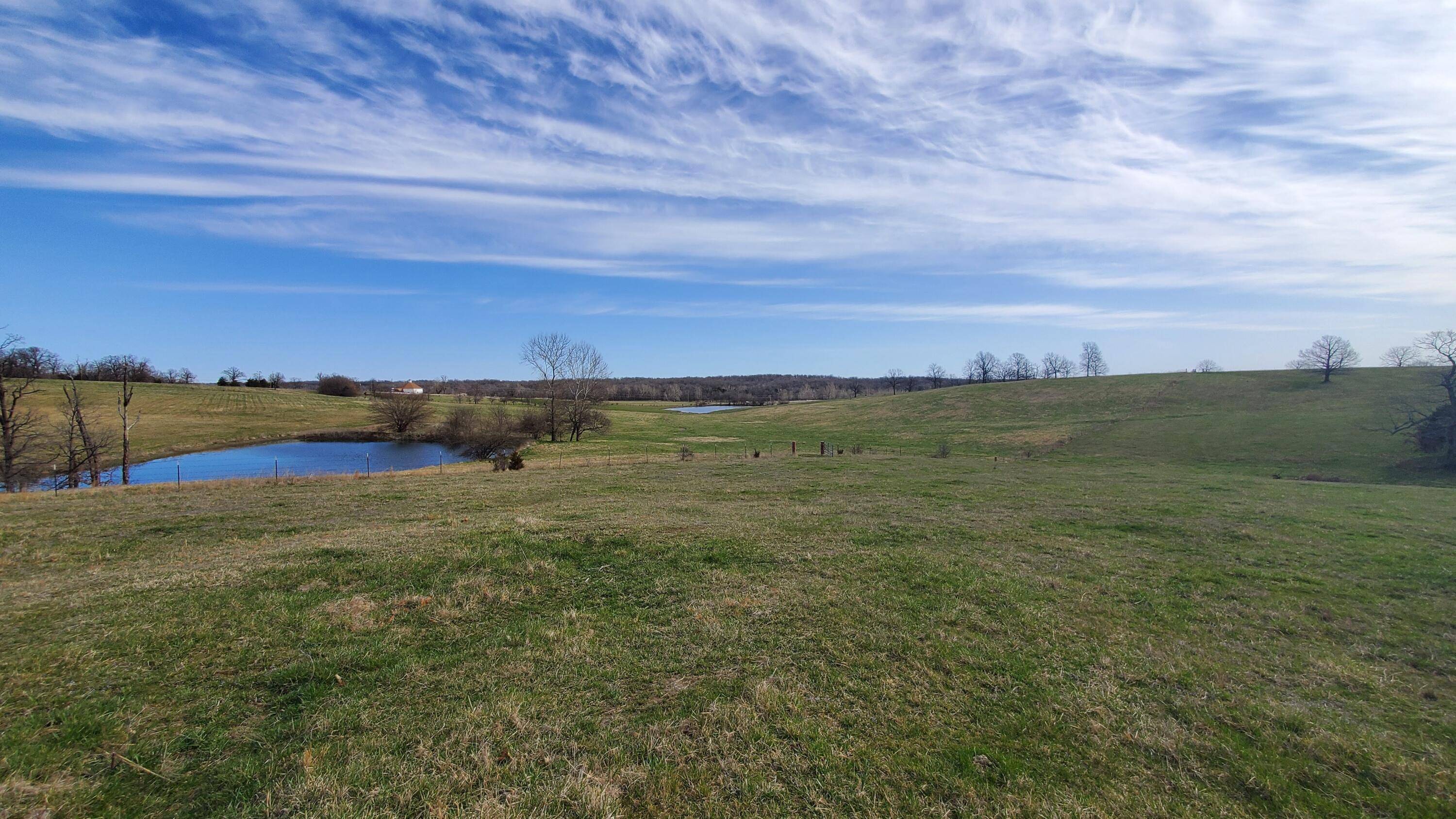 Walnut Grove, MO 65770,Lot 4 N Farm Road 61
