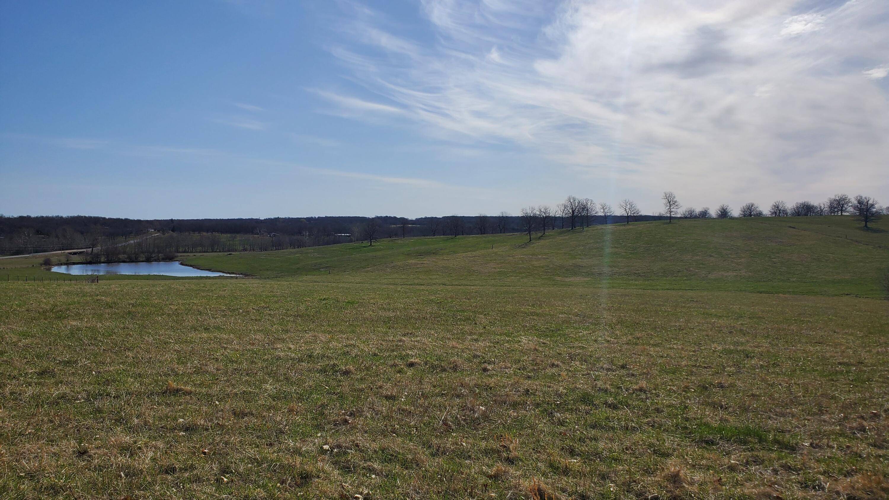 Walnut Grove, MO 65770,Lot 2 N Farm Road 61