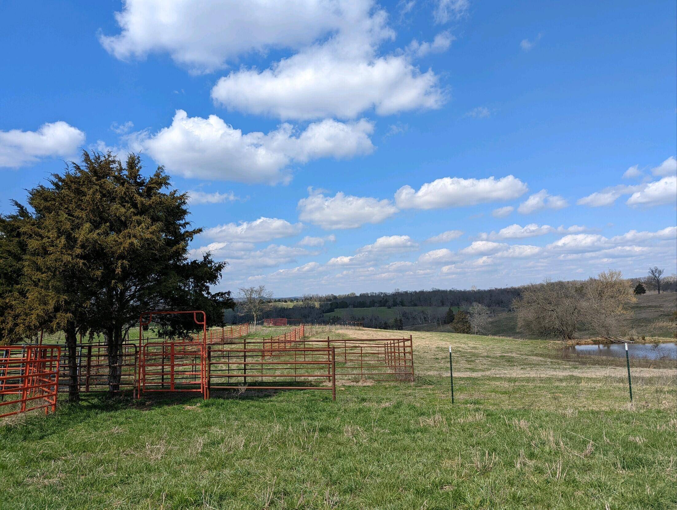 Forsyth, MO 65653,000 Grady RD