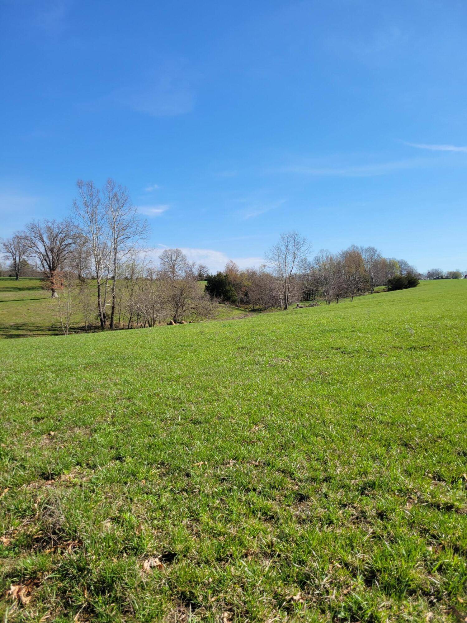 Ava, MO 65608,Tract-3 County Road O-530