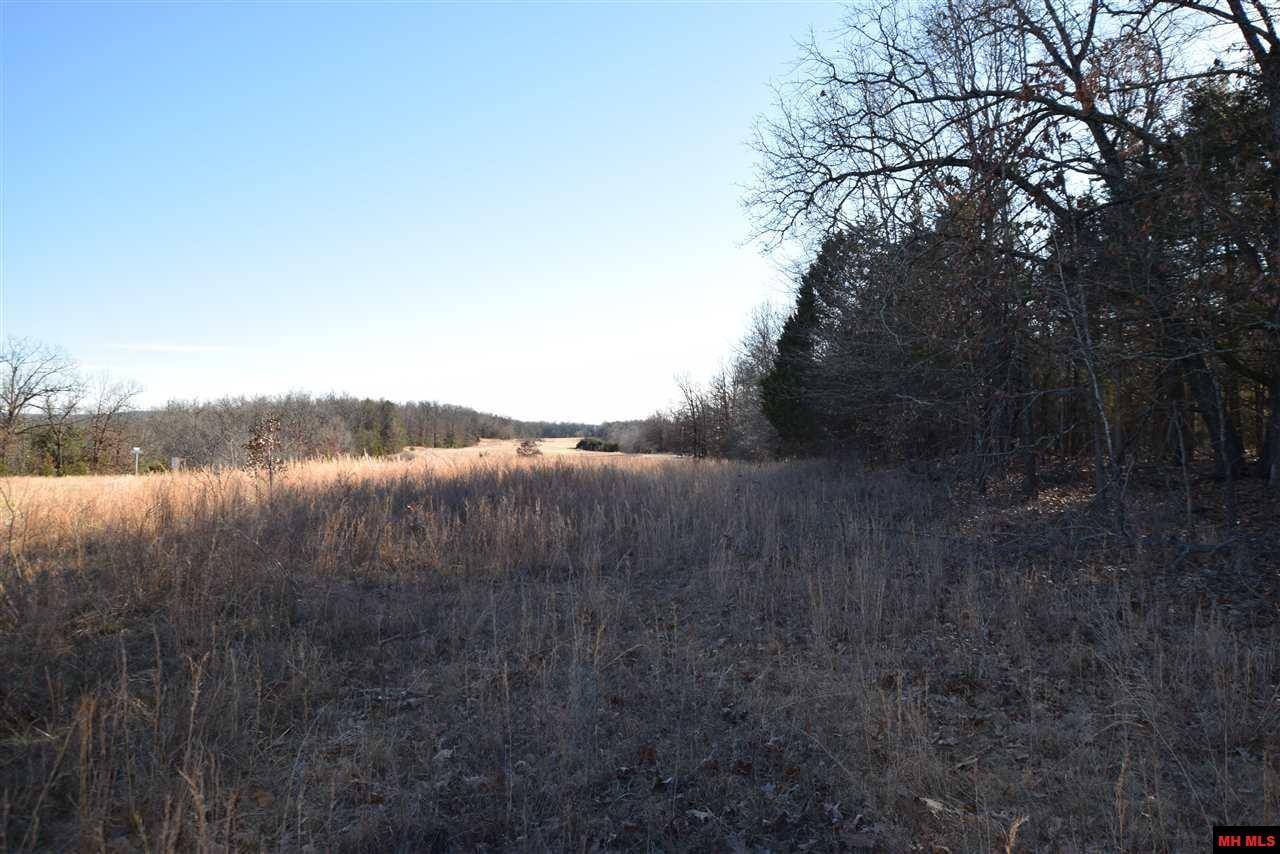 Protem, MO 65733,000 Eagle Ridge Rd (Interior Only) #Lot 20