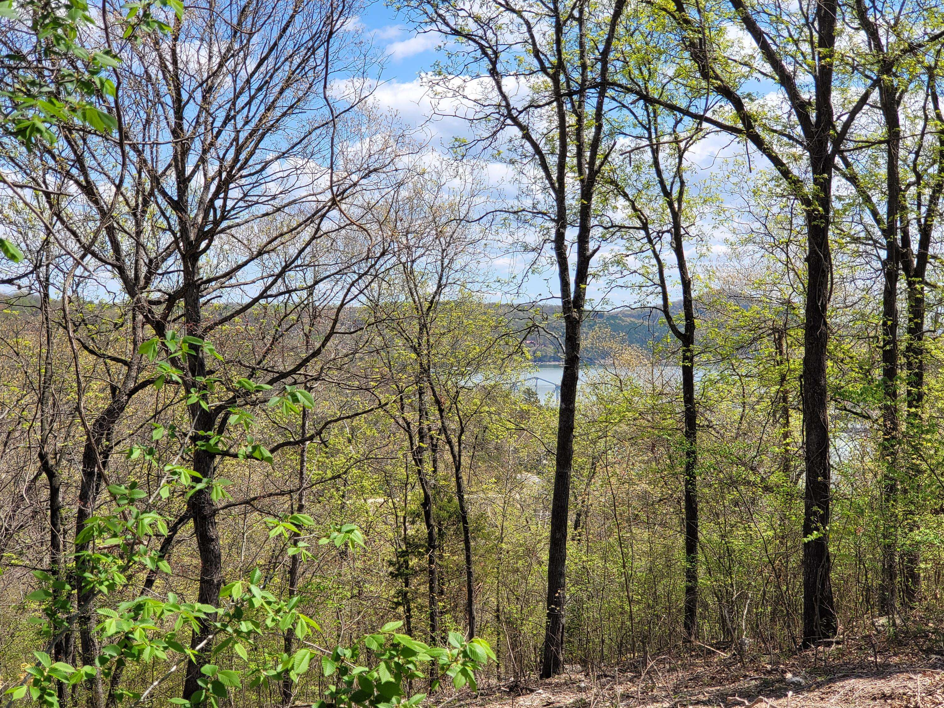 Shell Knob, MO 65747,Lot 18 The Bluffs