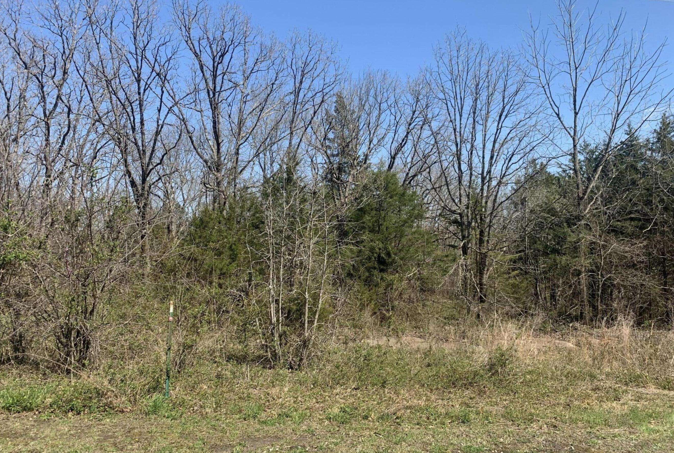 Buffalo, MO 65622,000 Dawn DR #Lot 21