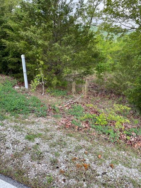 Branson West, MO 65737,Lot #188 Black Forest LN