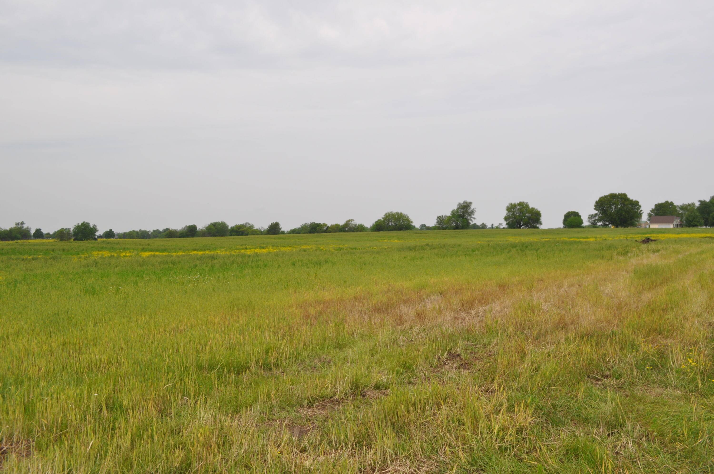 Bois D Arc, MO 65612,Tract A N Farm Road 71