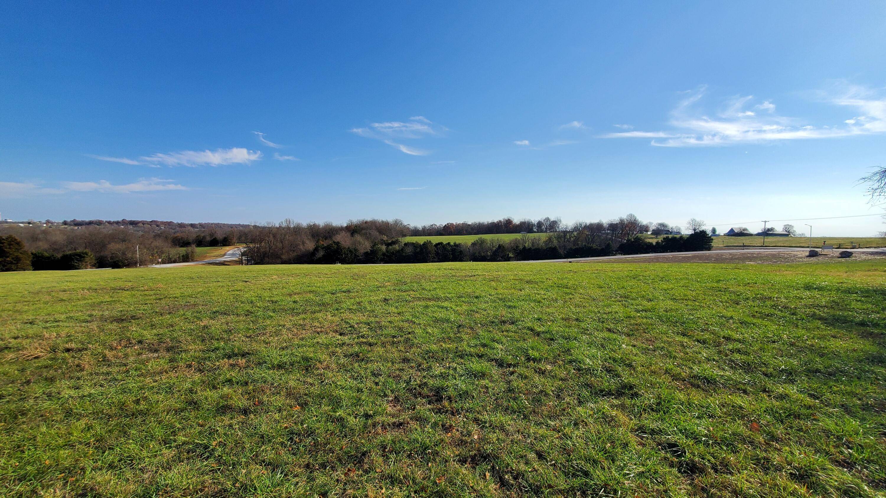 Republic, MO 65738,6555 S Lock LN #(Lot 2)